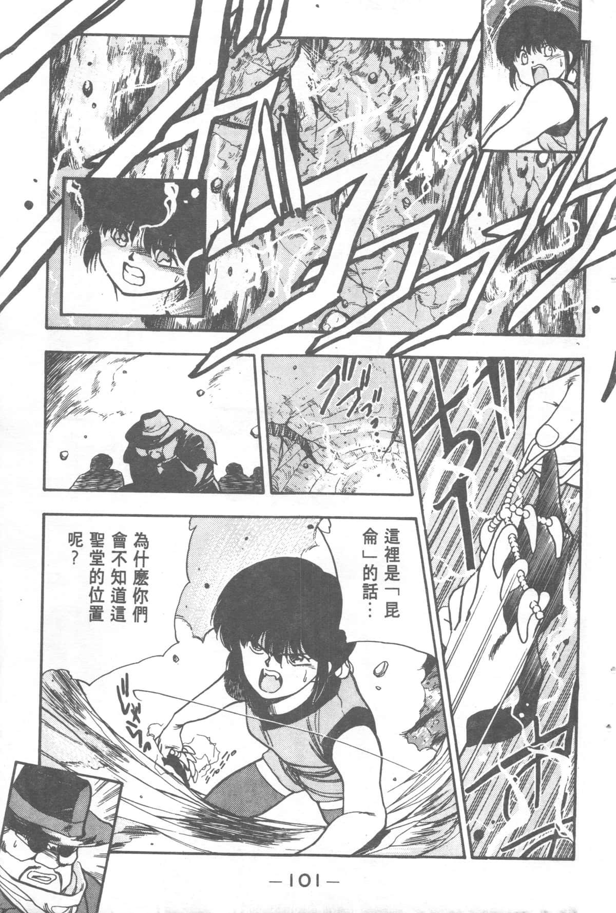 Page 101