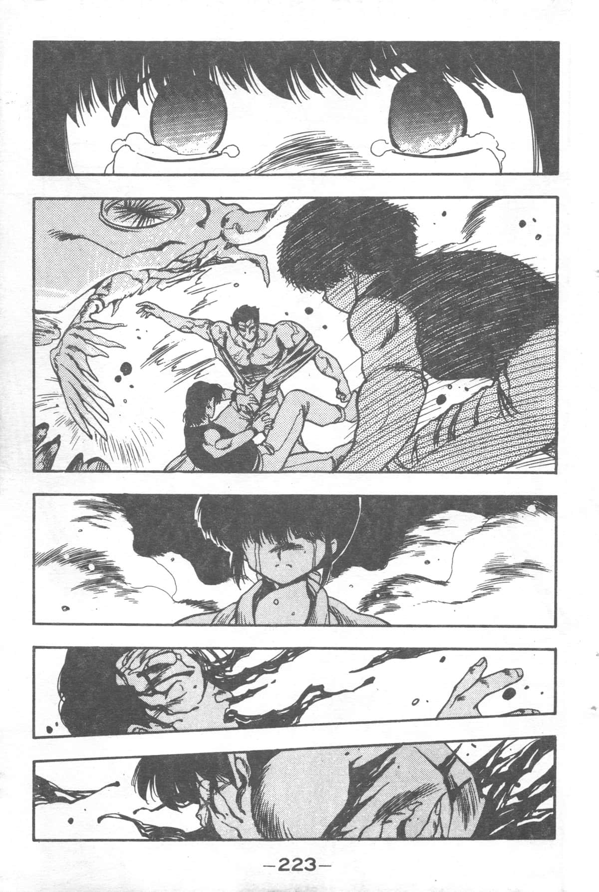Page 223