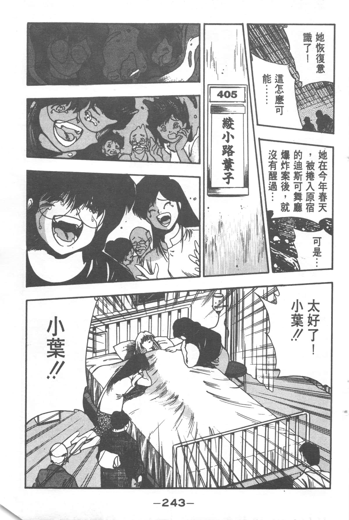 Page 243