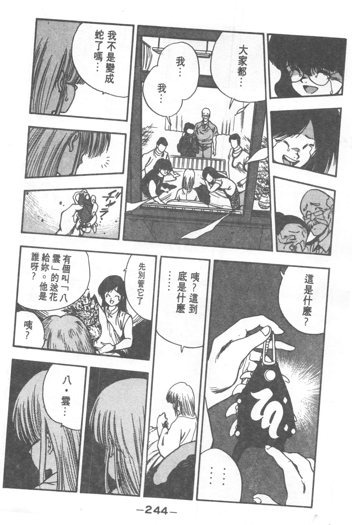 Page 244