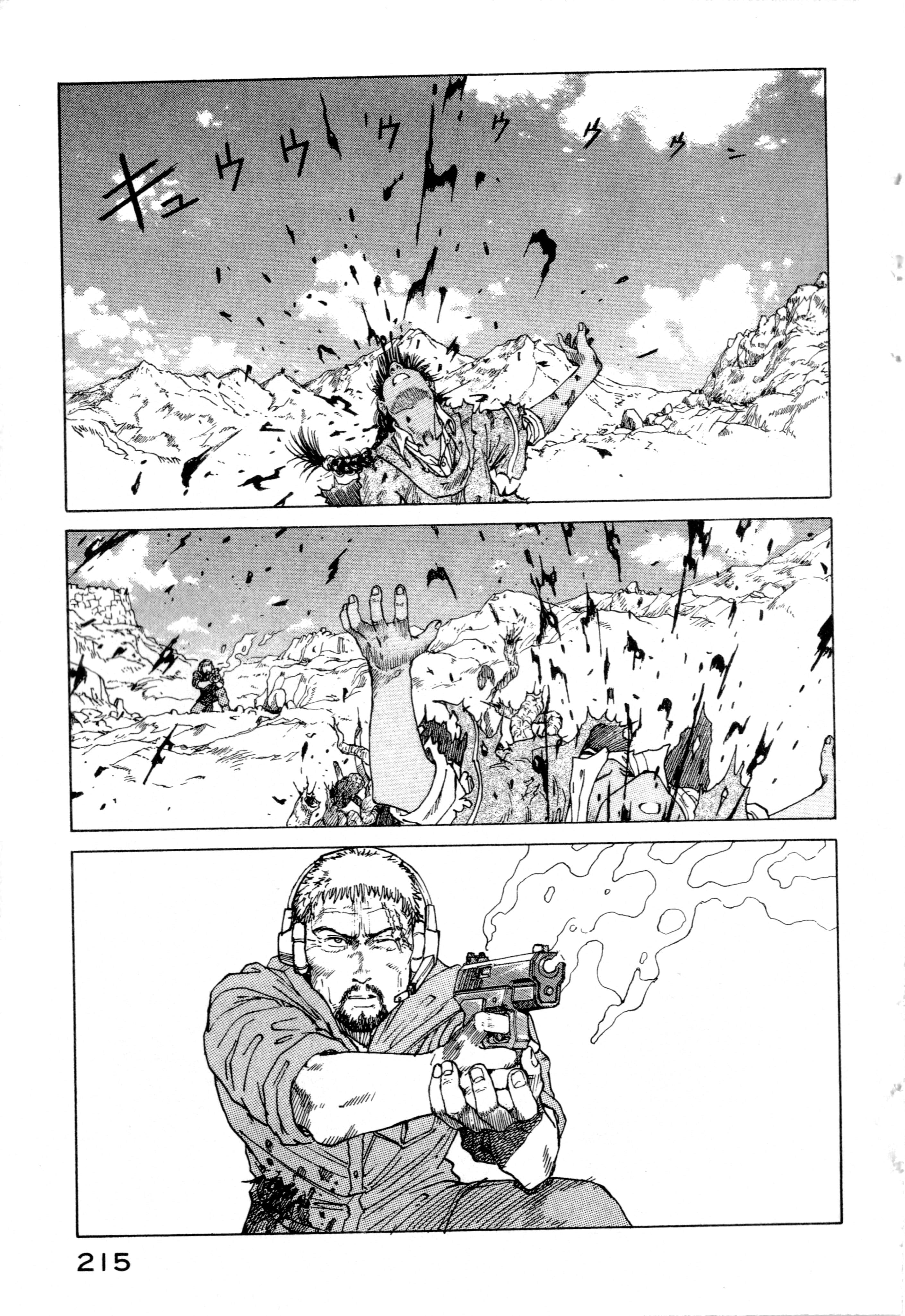 Page 217