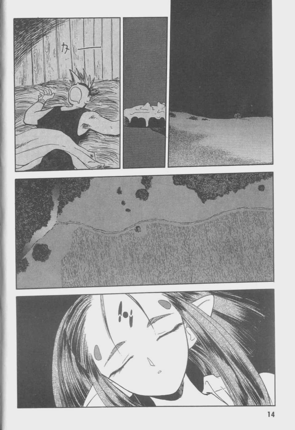 Page 14