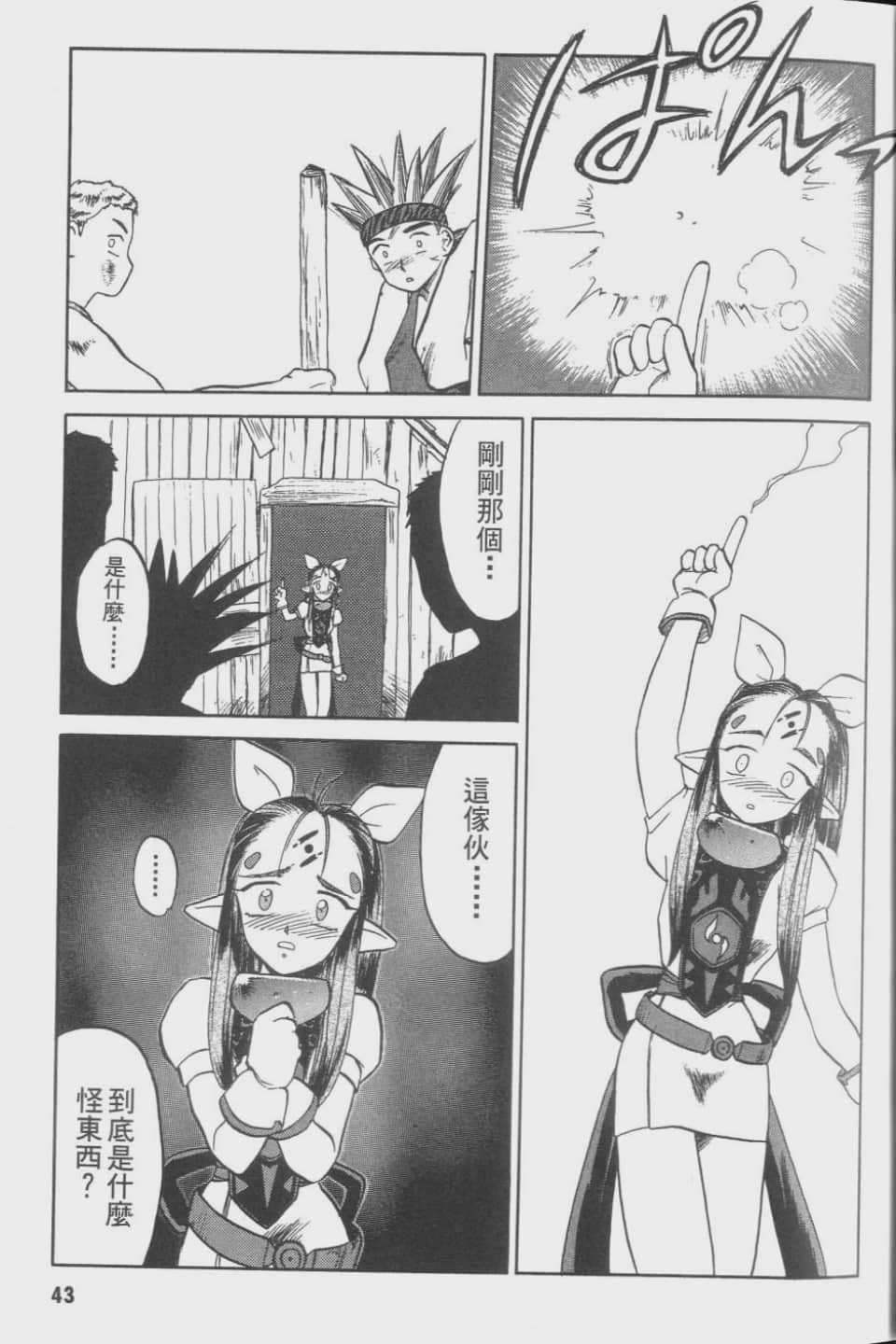 Page 43