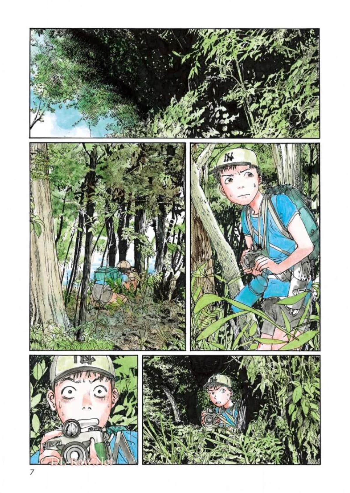 Page 7