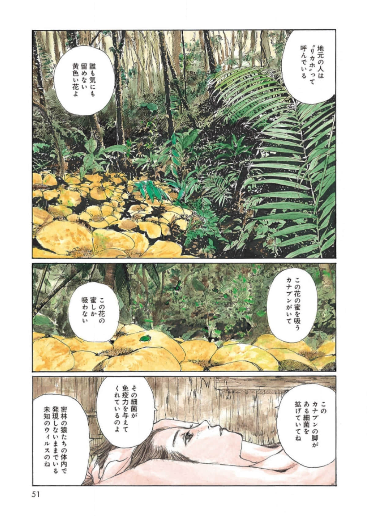 Page 51