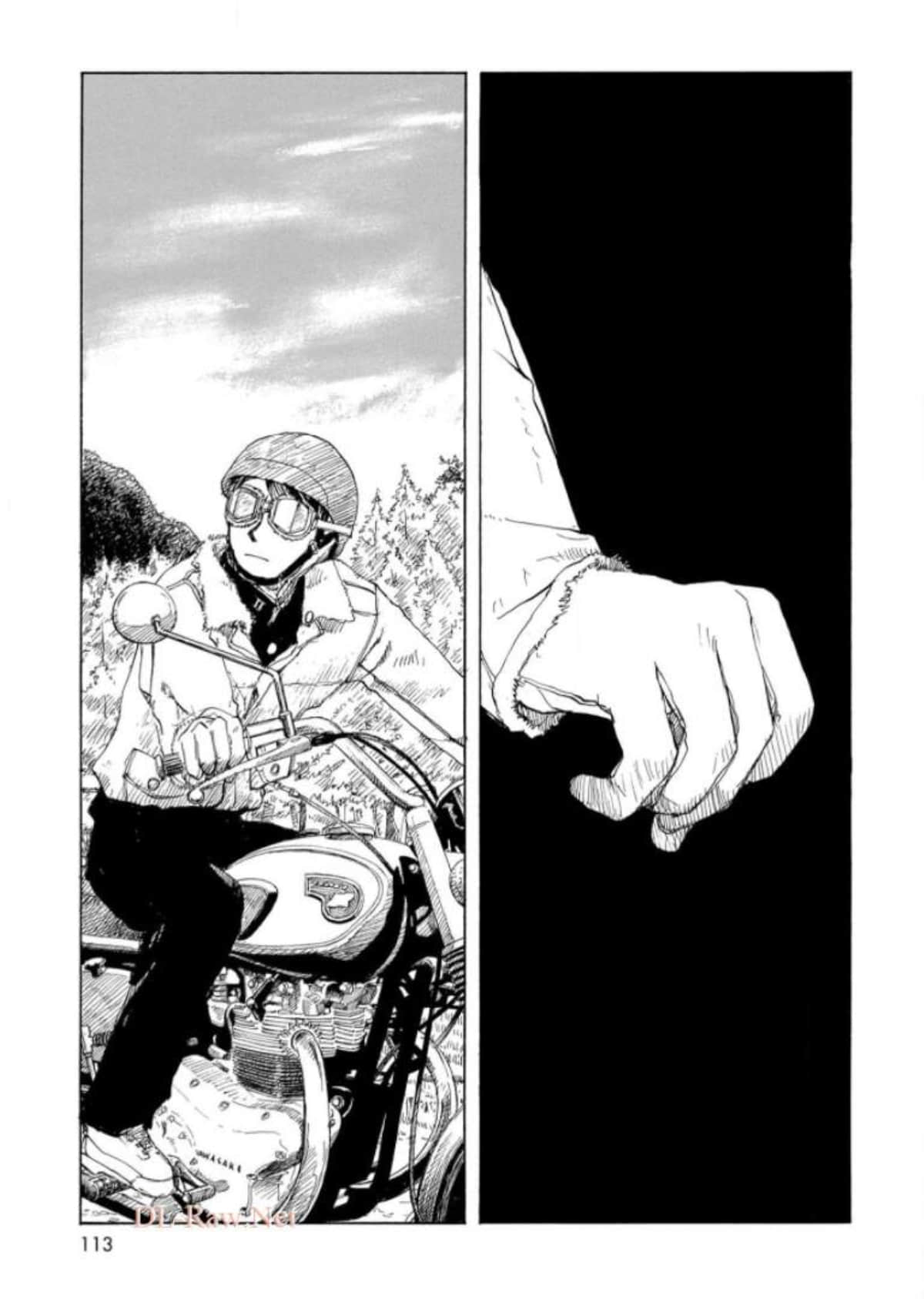 Page 113