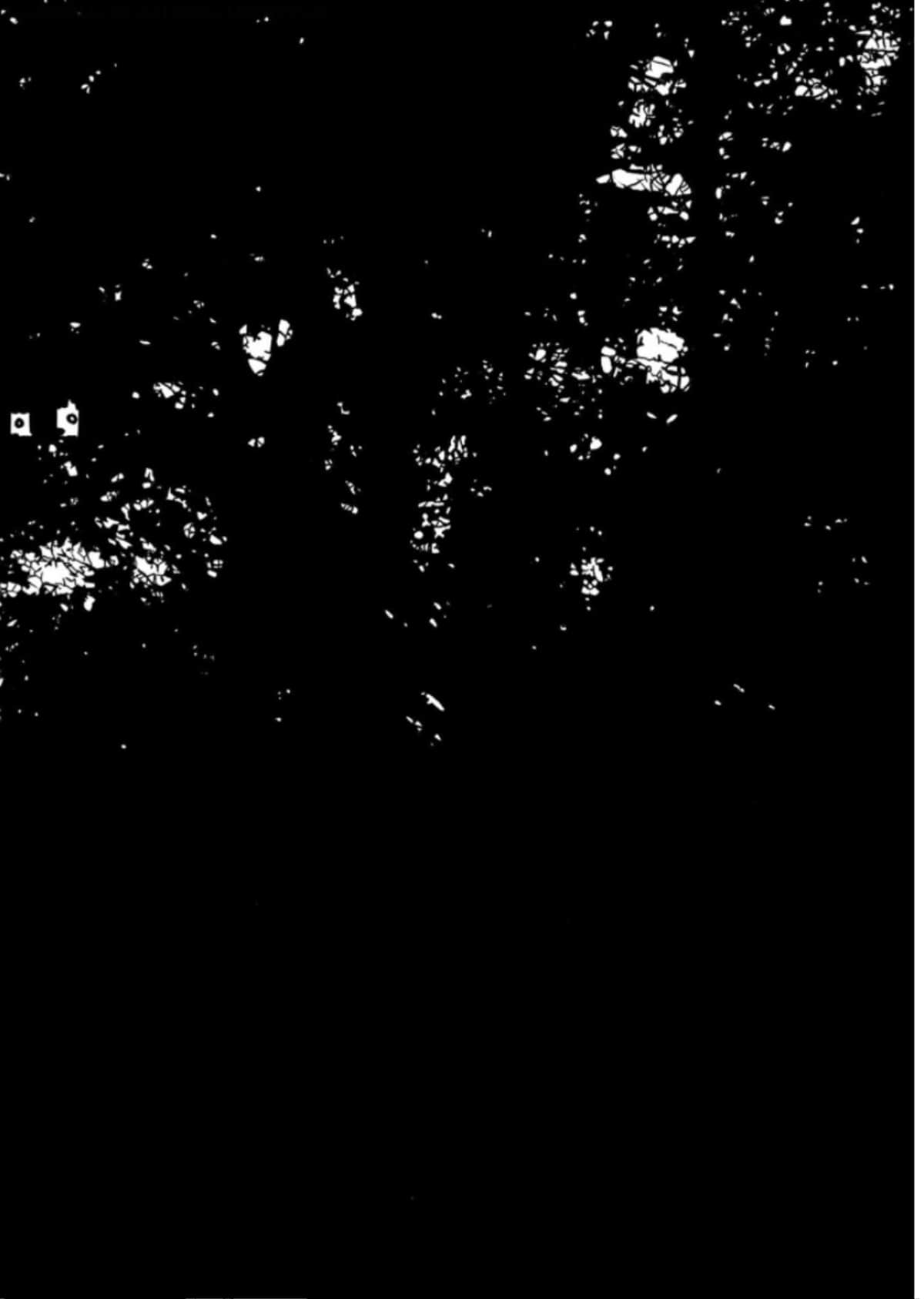 Page 204