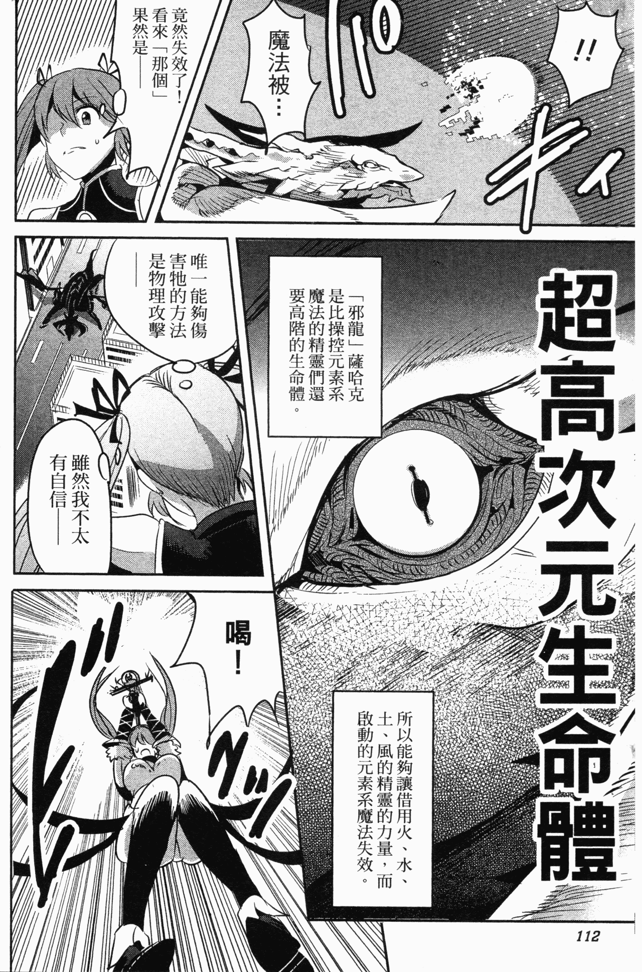 Page 113