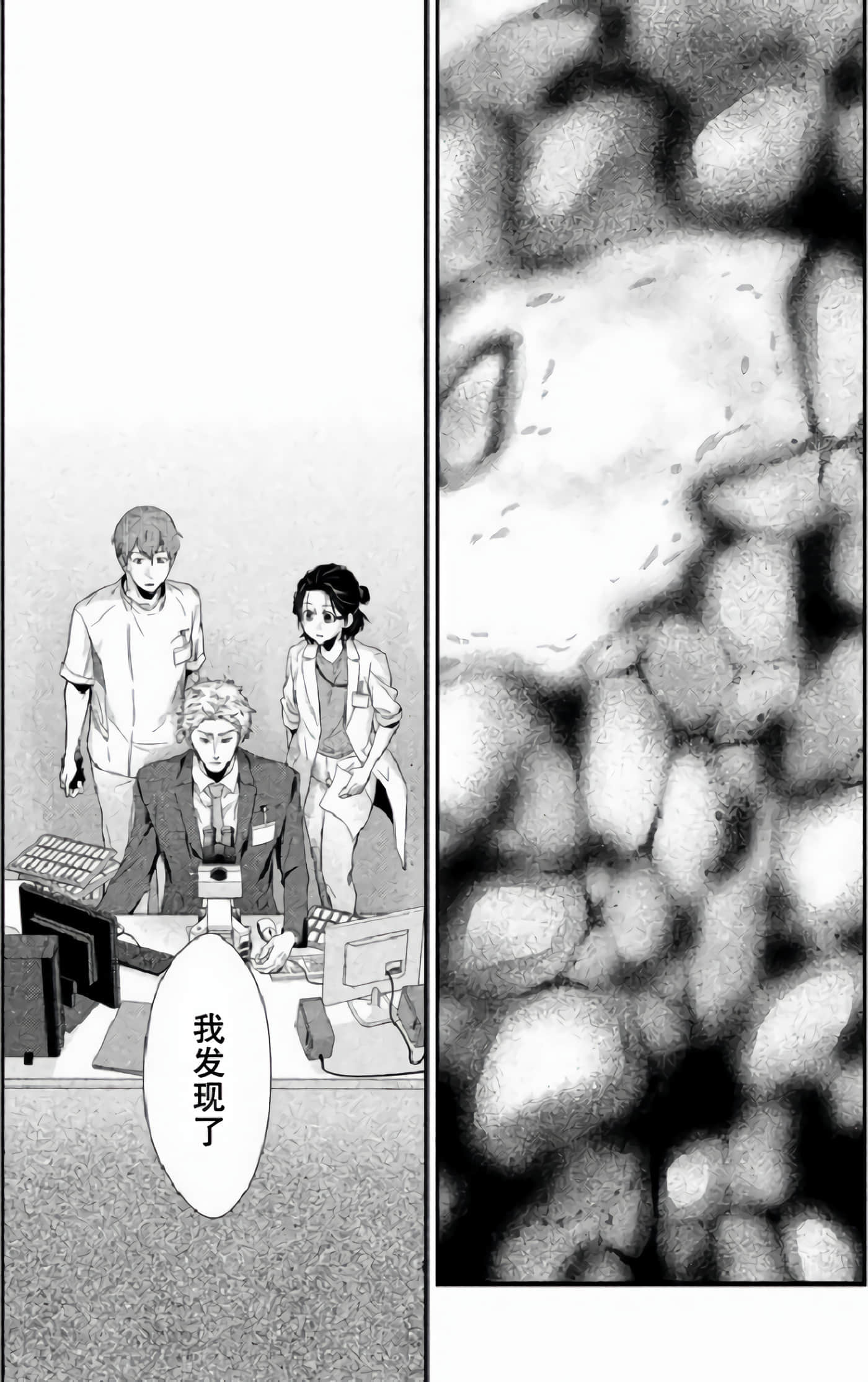 第 55 页