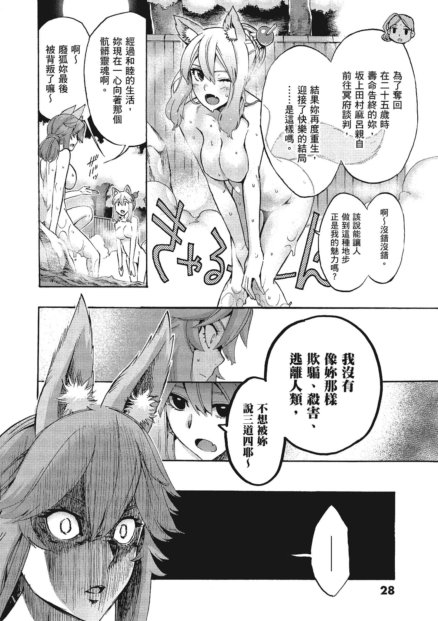 第 28 页
