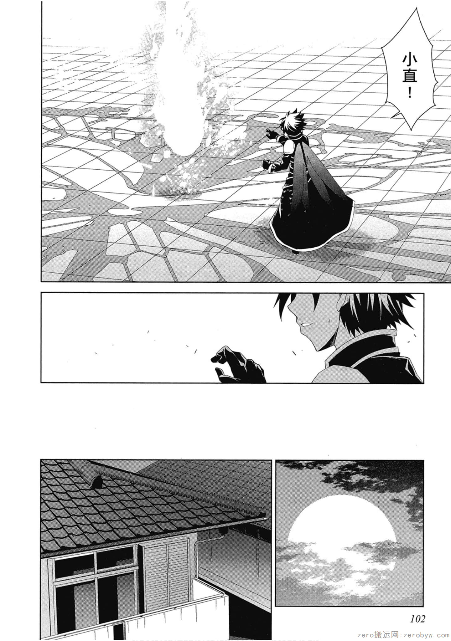 Page 102
