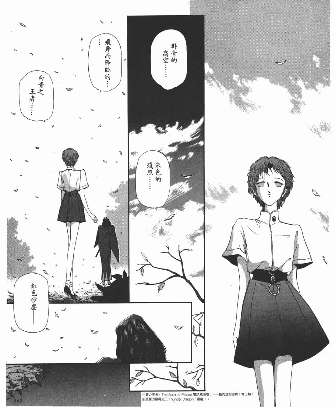 Page 163