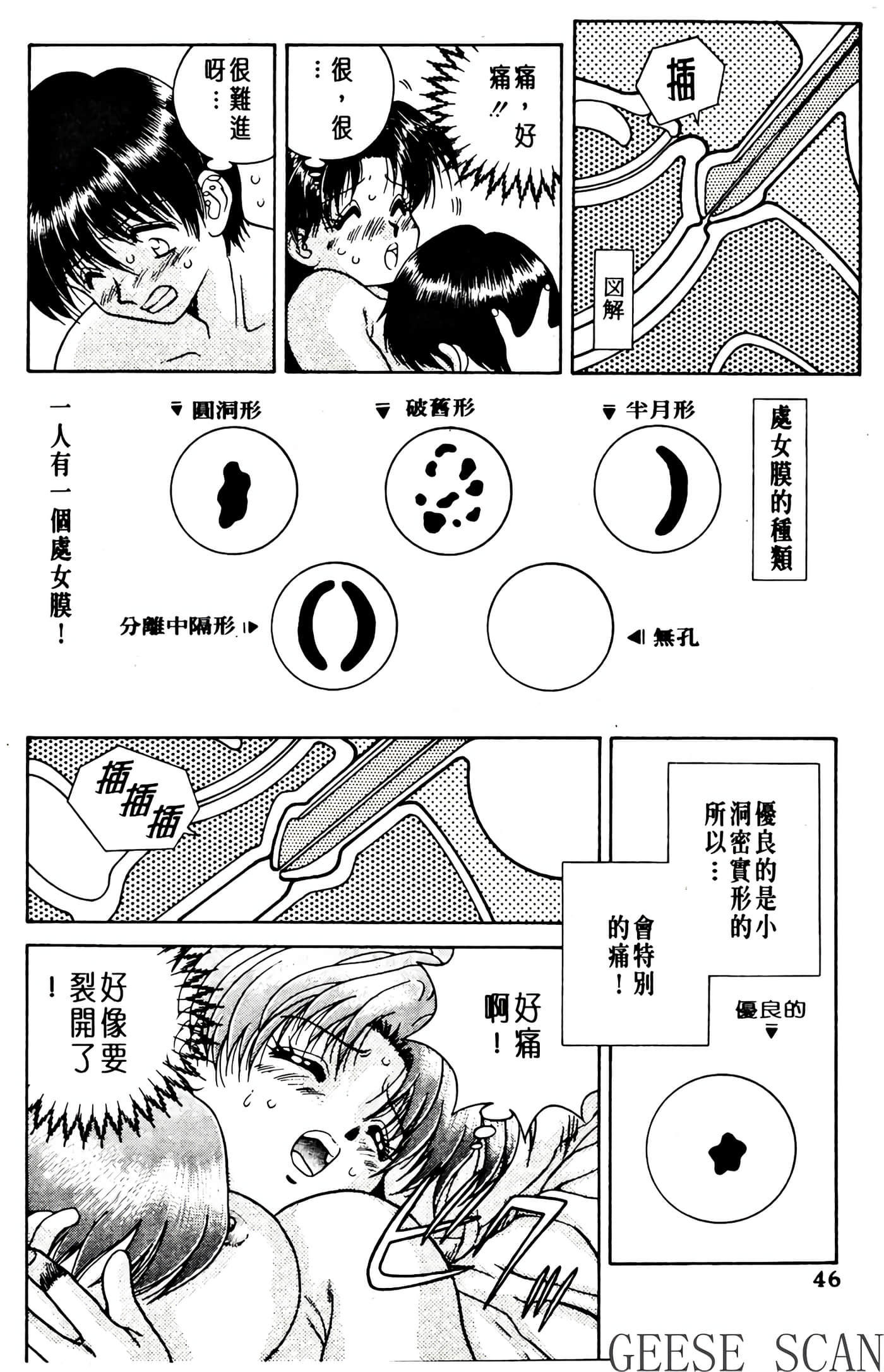 第 48 页
