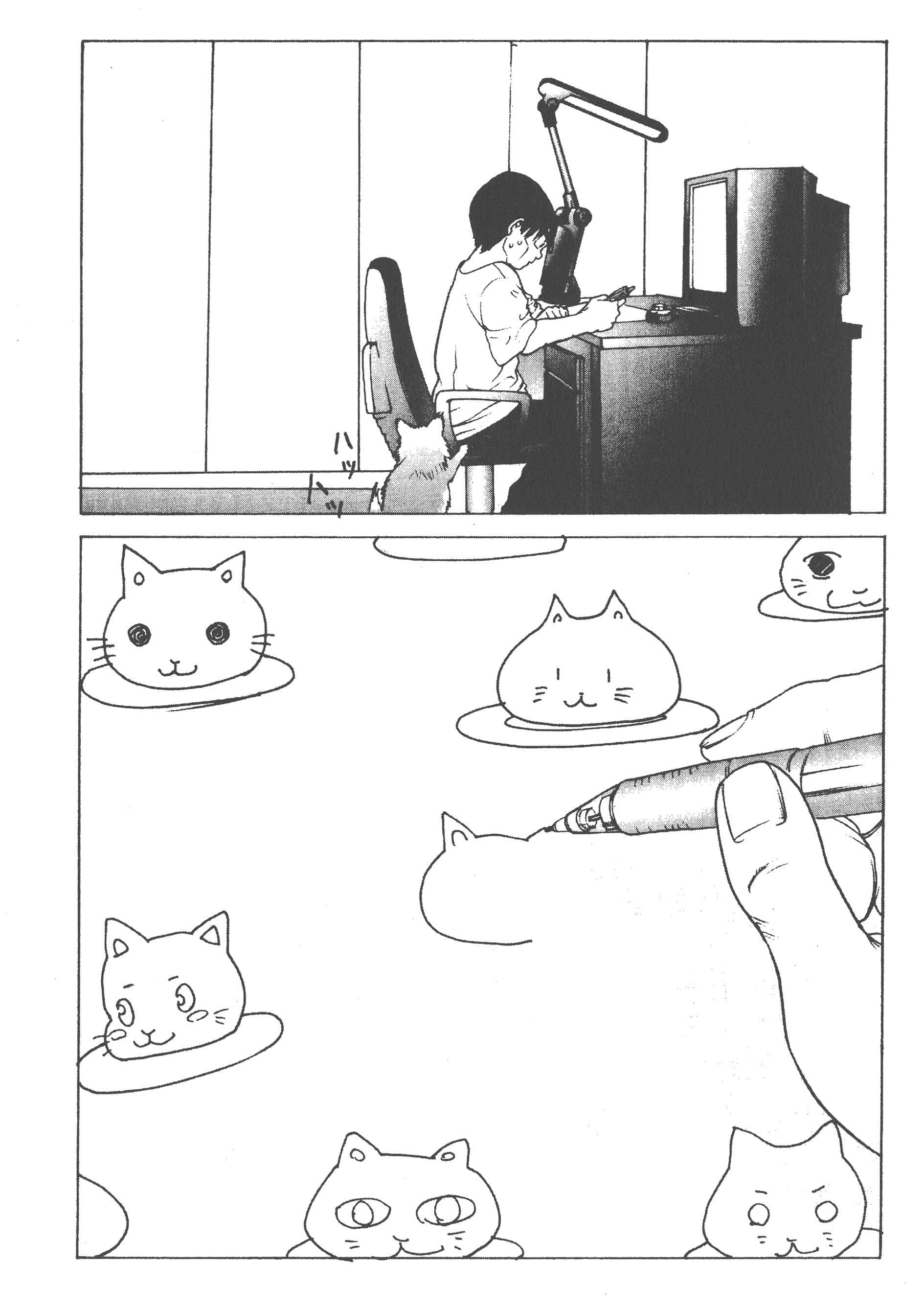 Page 224