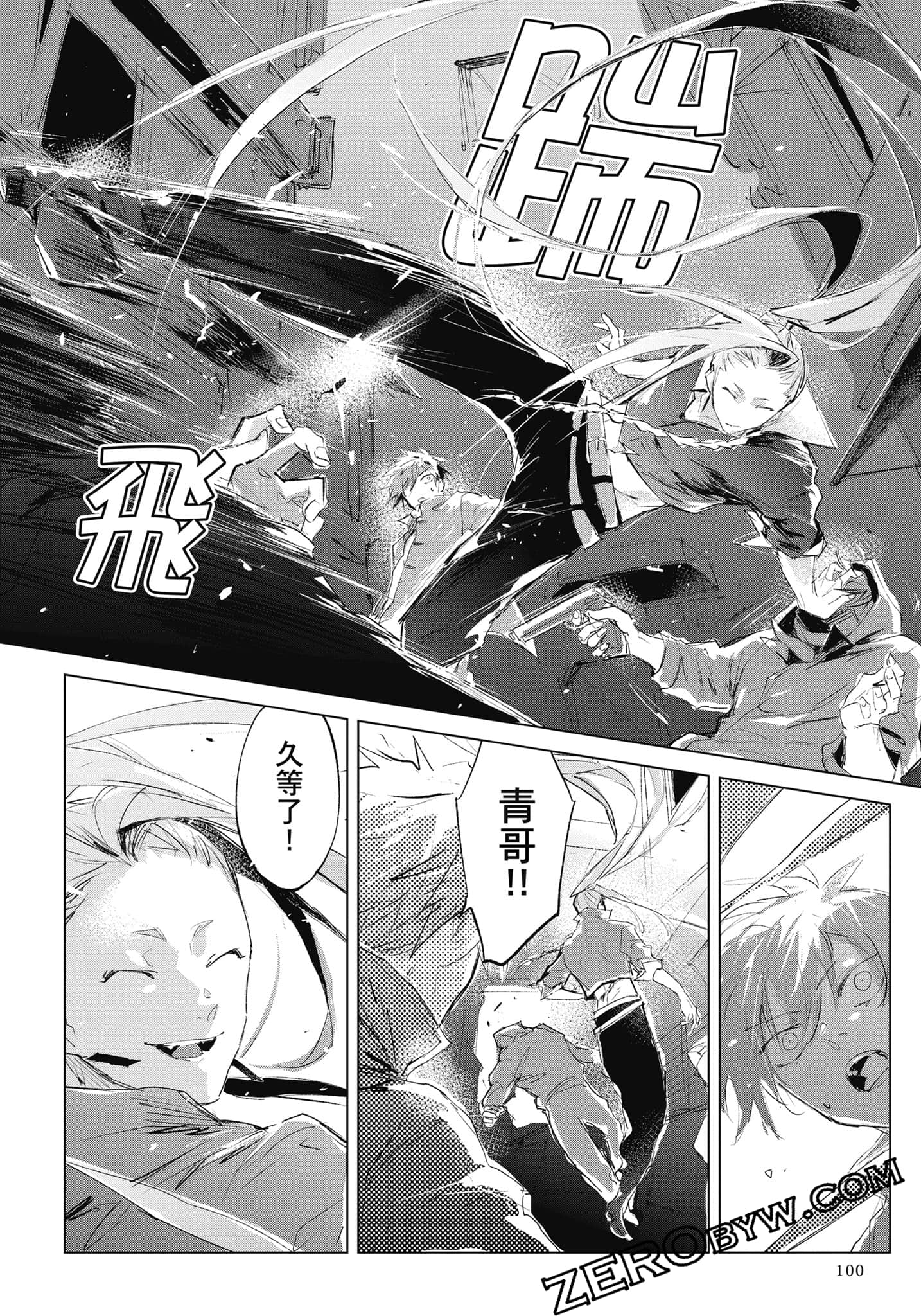 Page 101