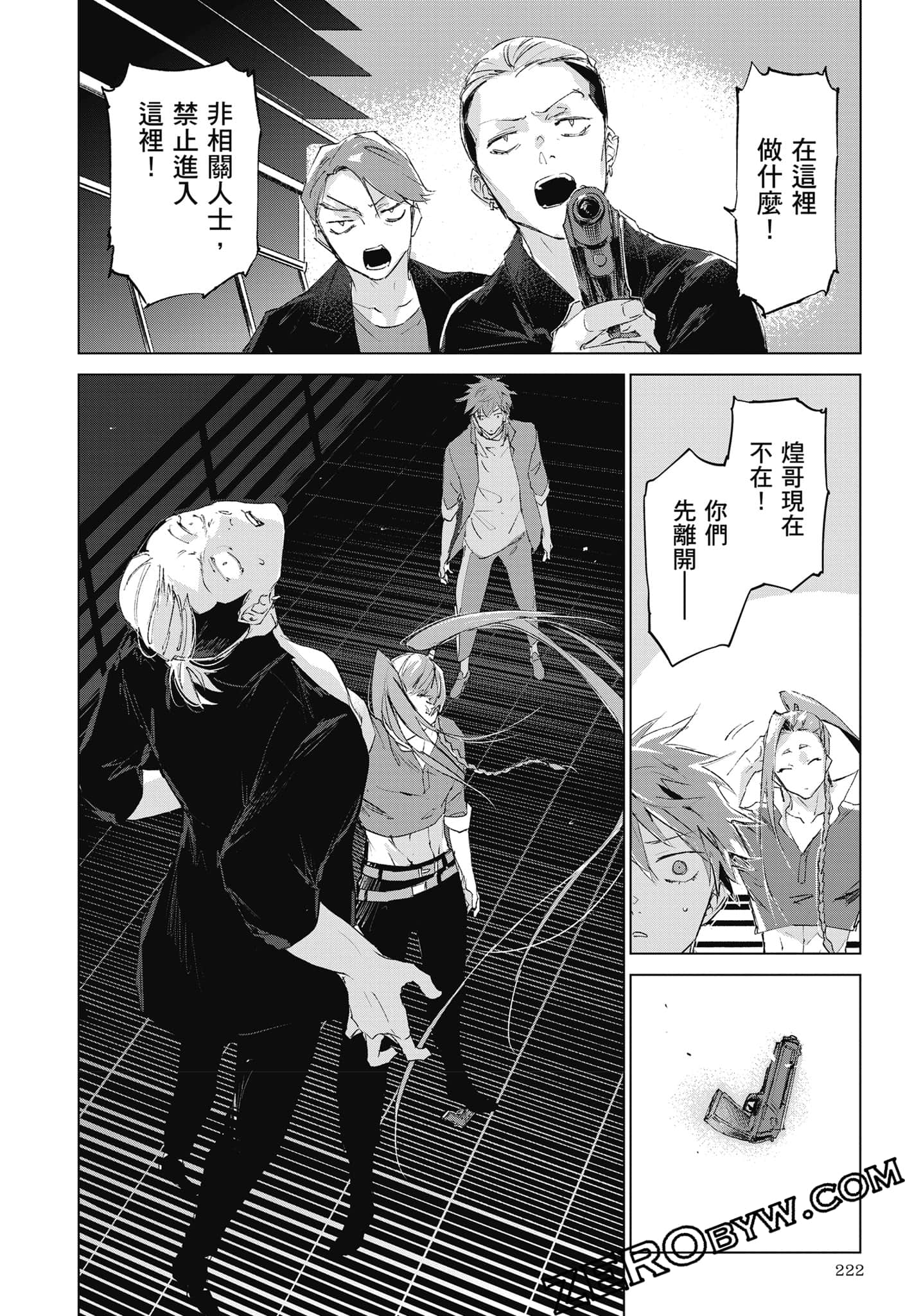 Page 223