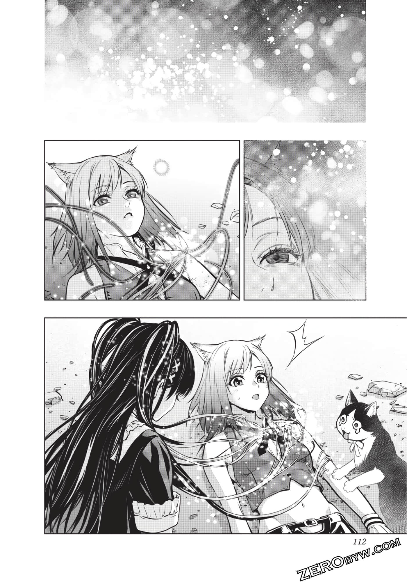 Page 113