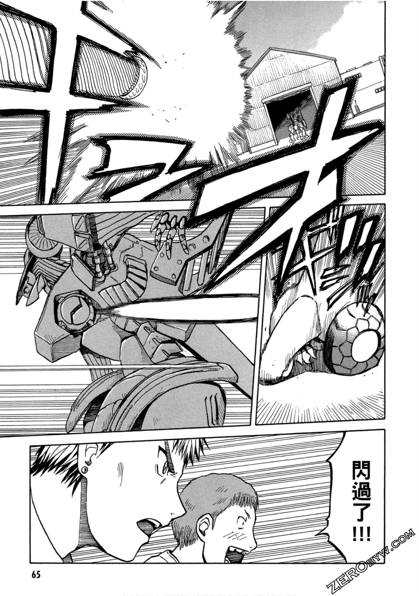第 66 页