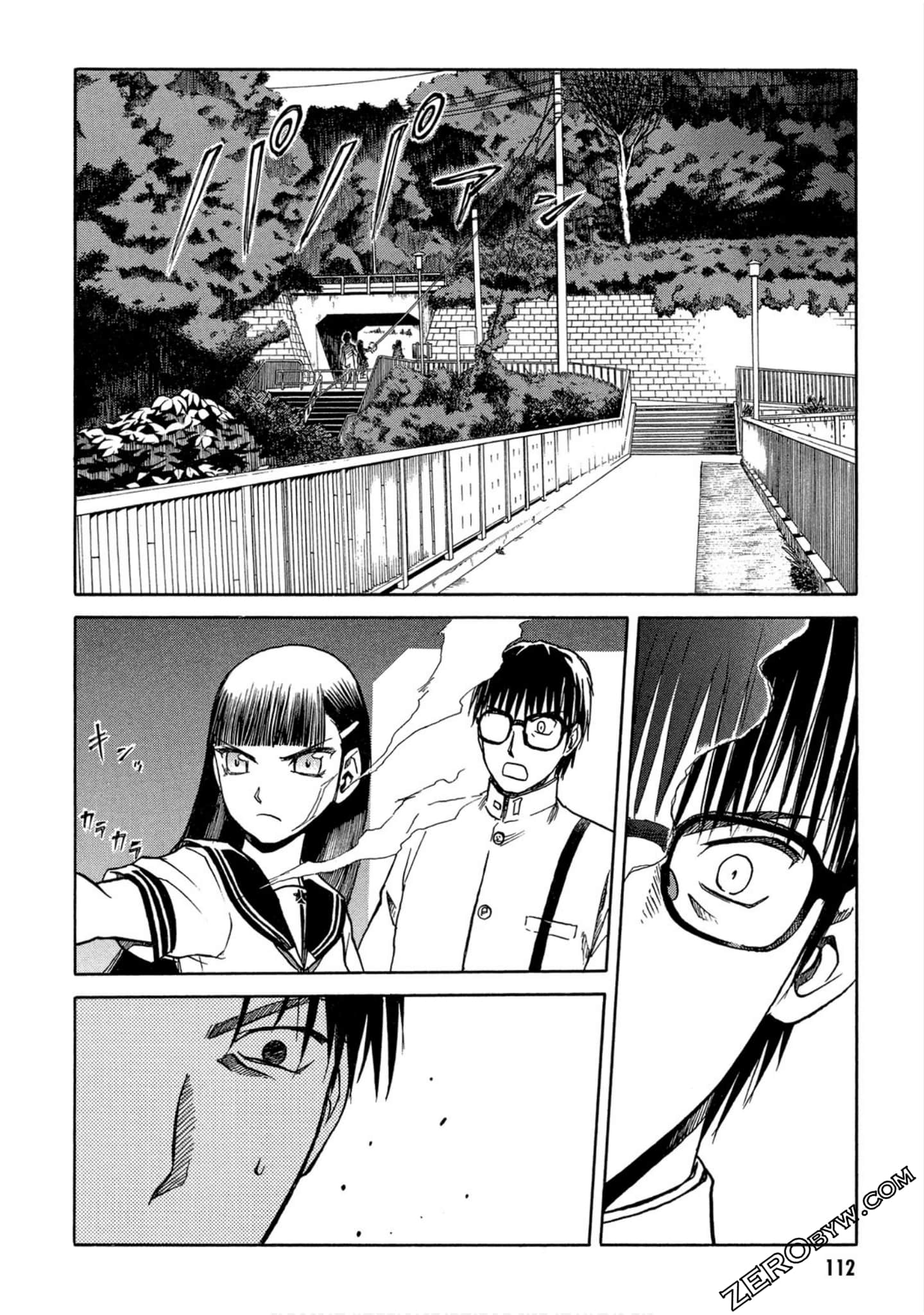 Page 113