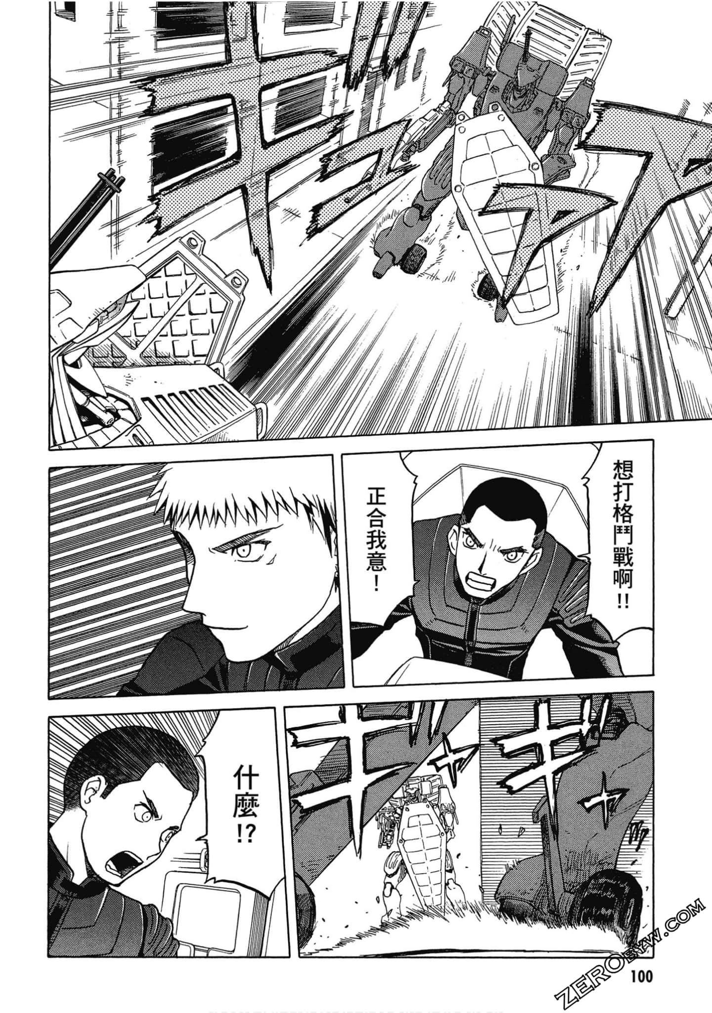 Page 101