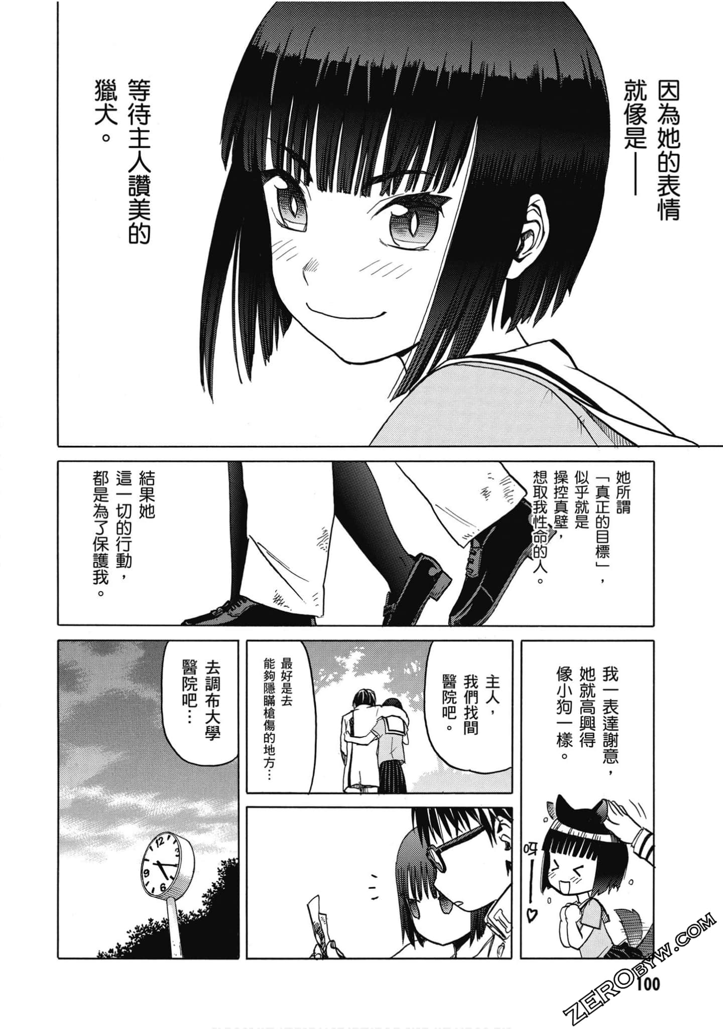 Page 101