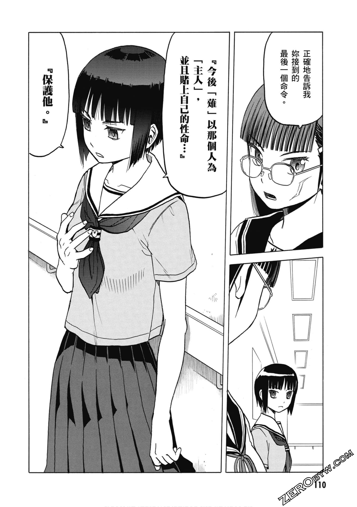 Page 111