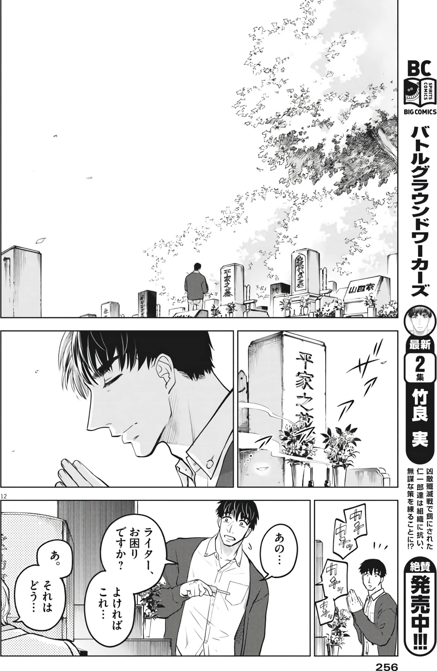 Page 12