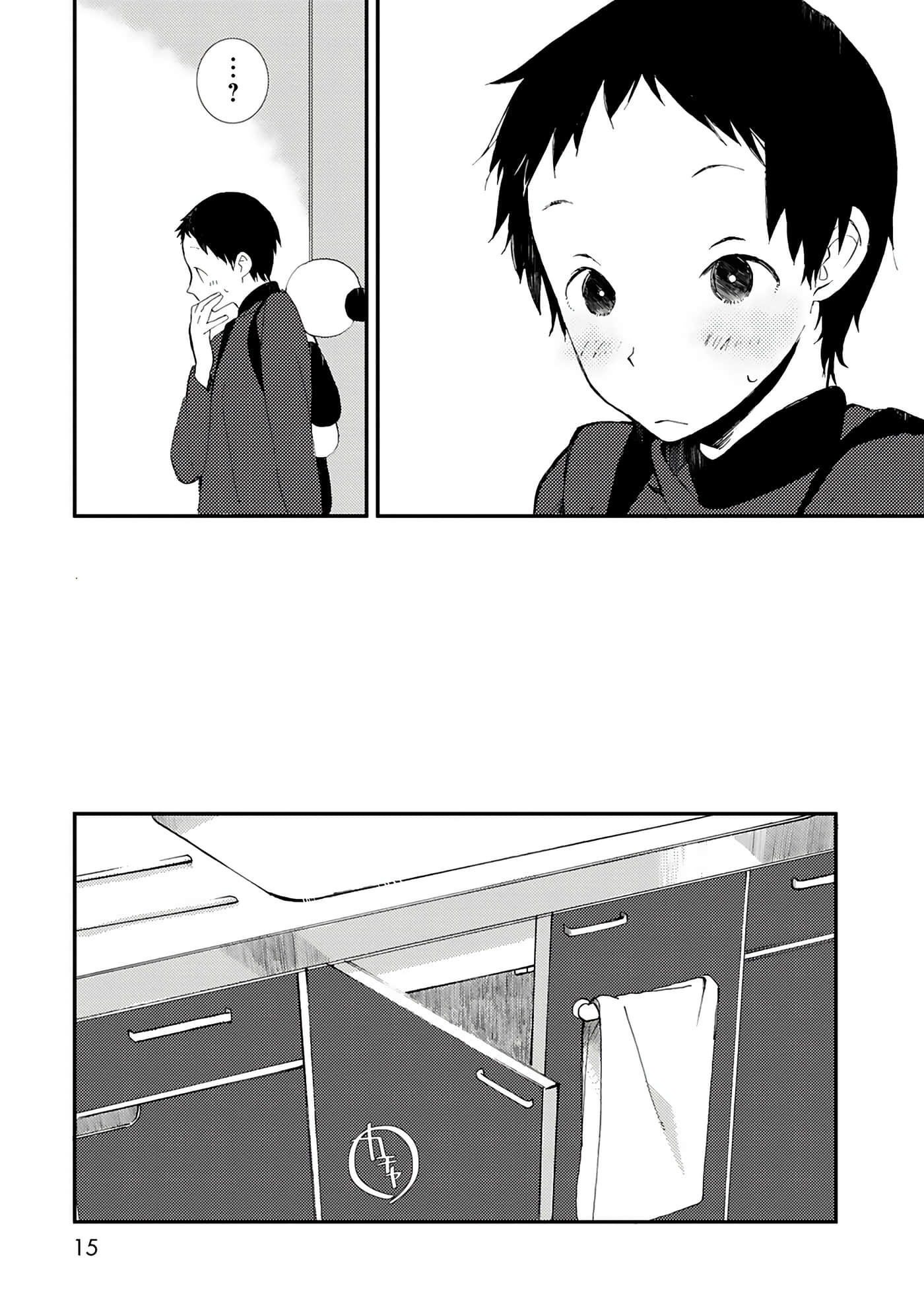 第 15 页