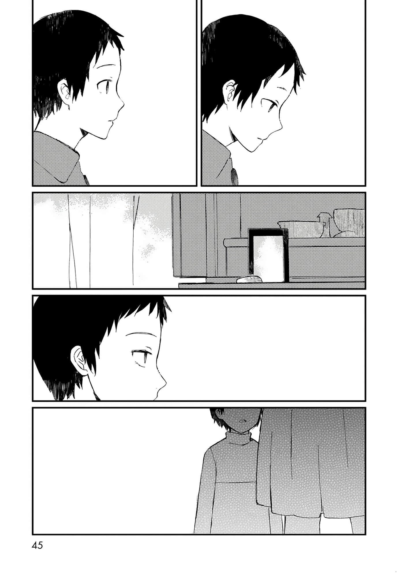 第 45 页