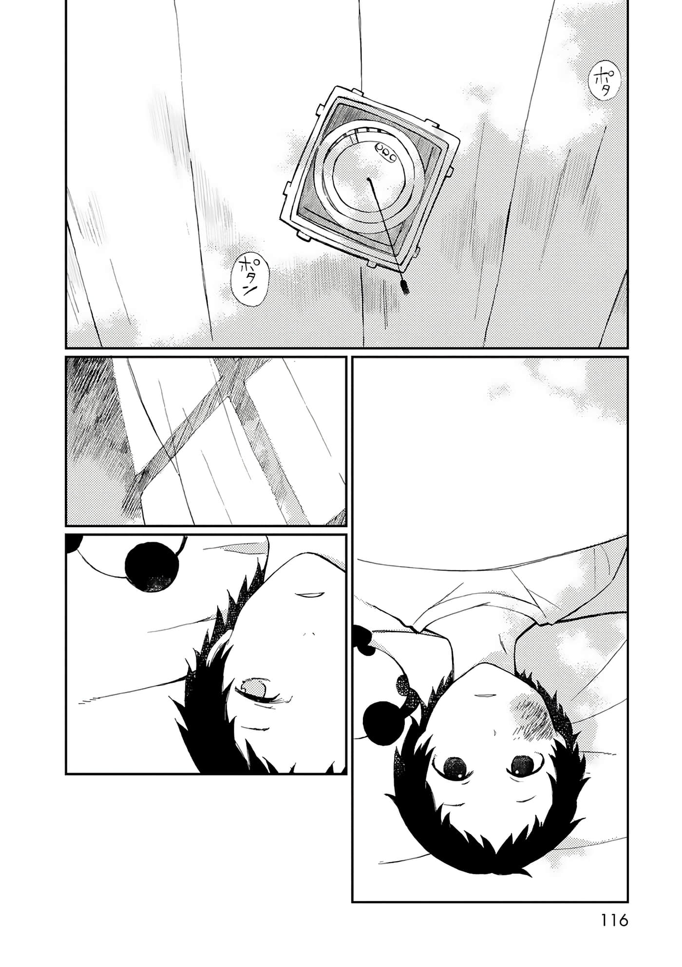 第 116 页
