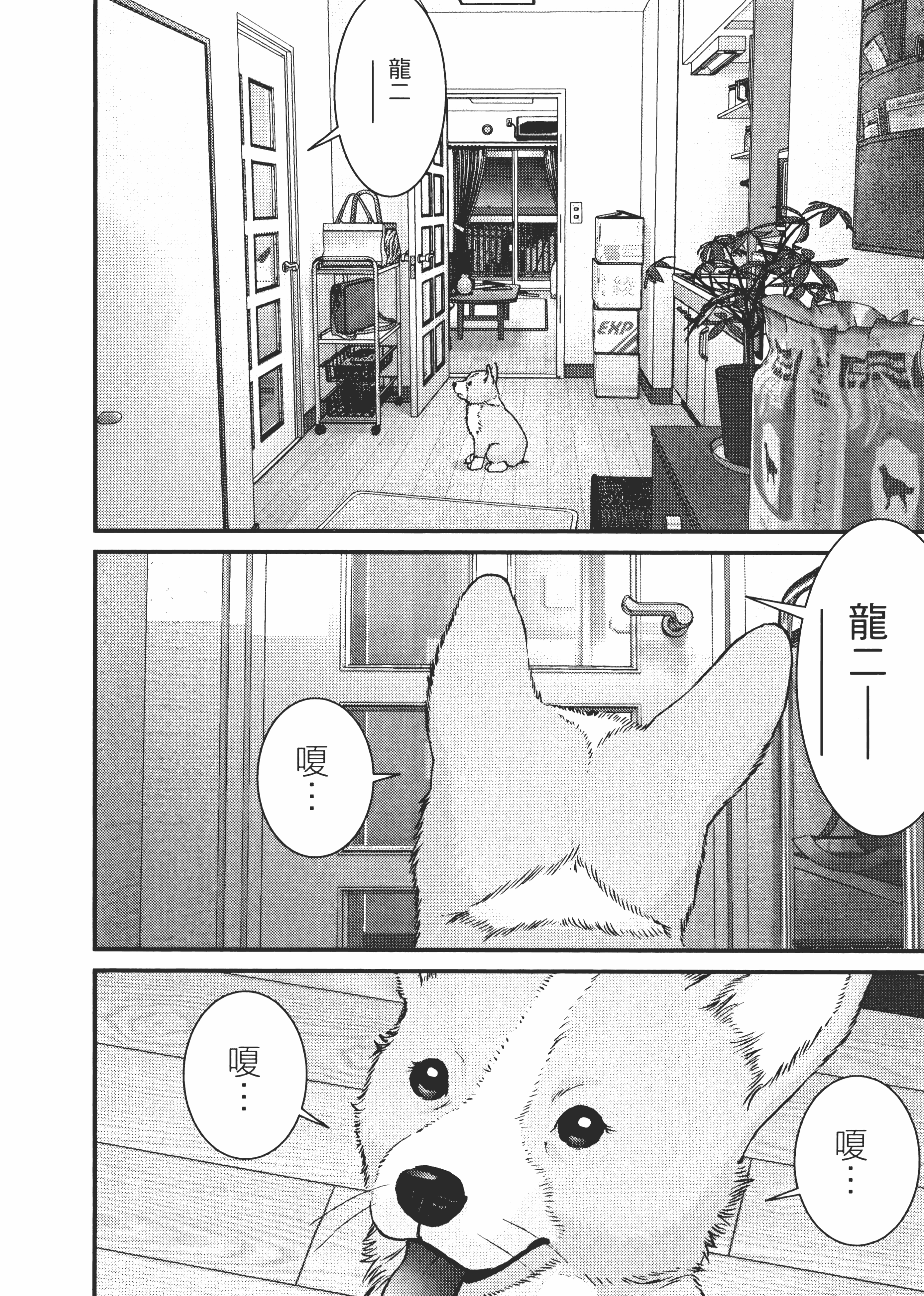 Page 117