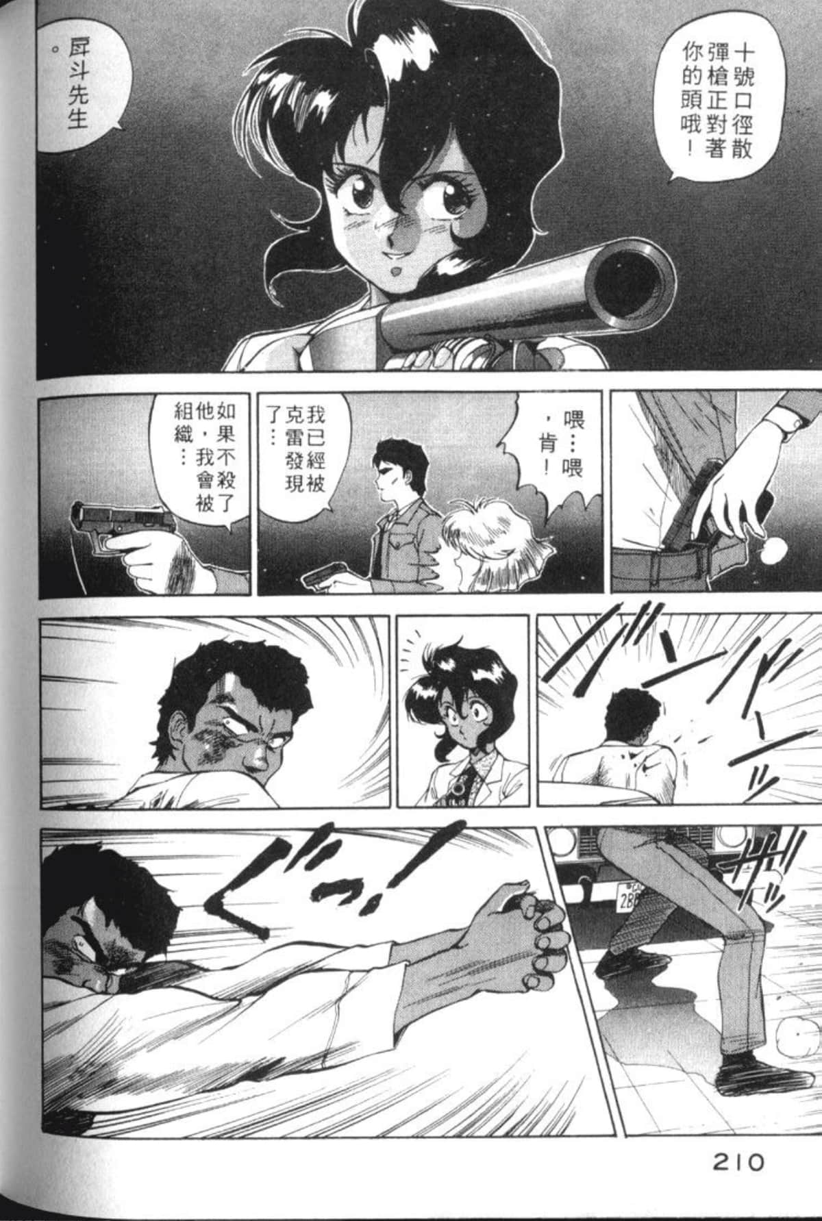 Page 213