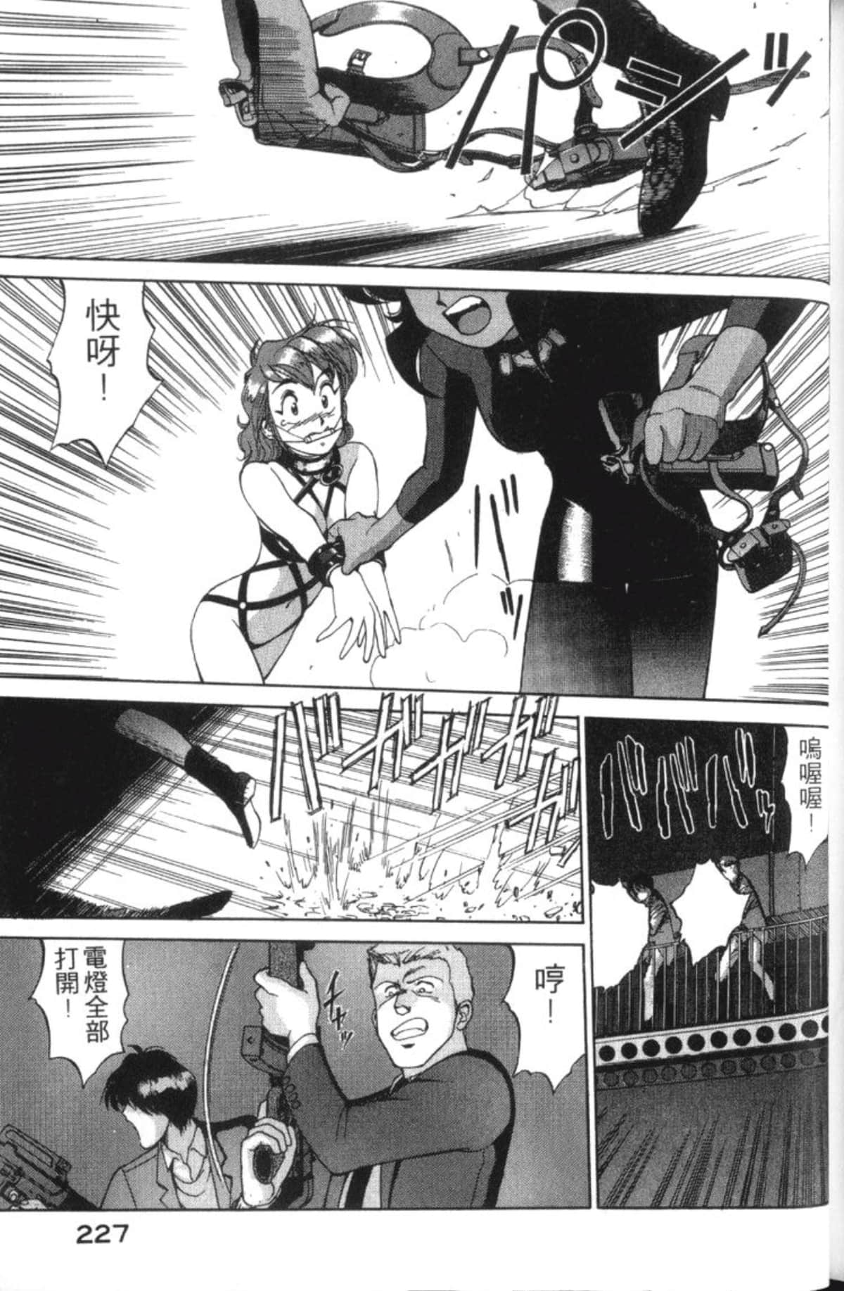 Page 229