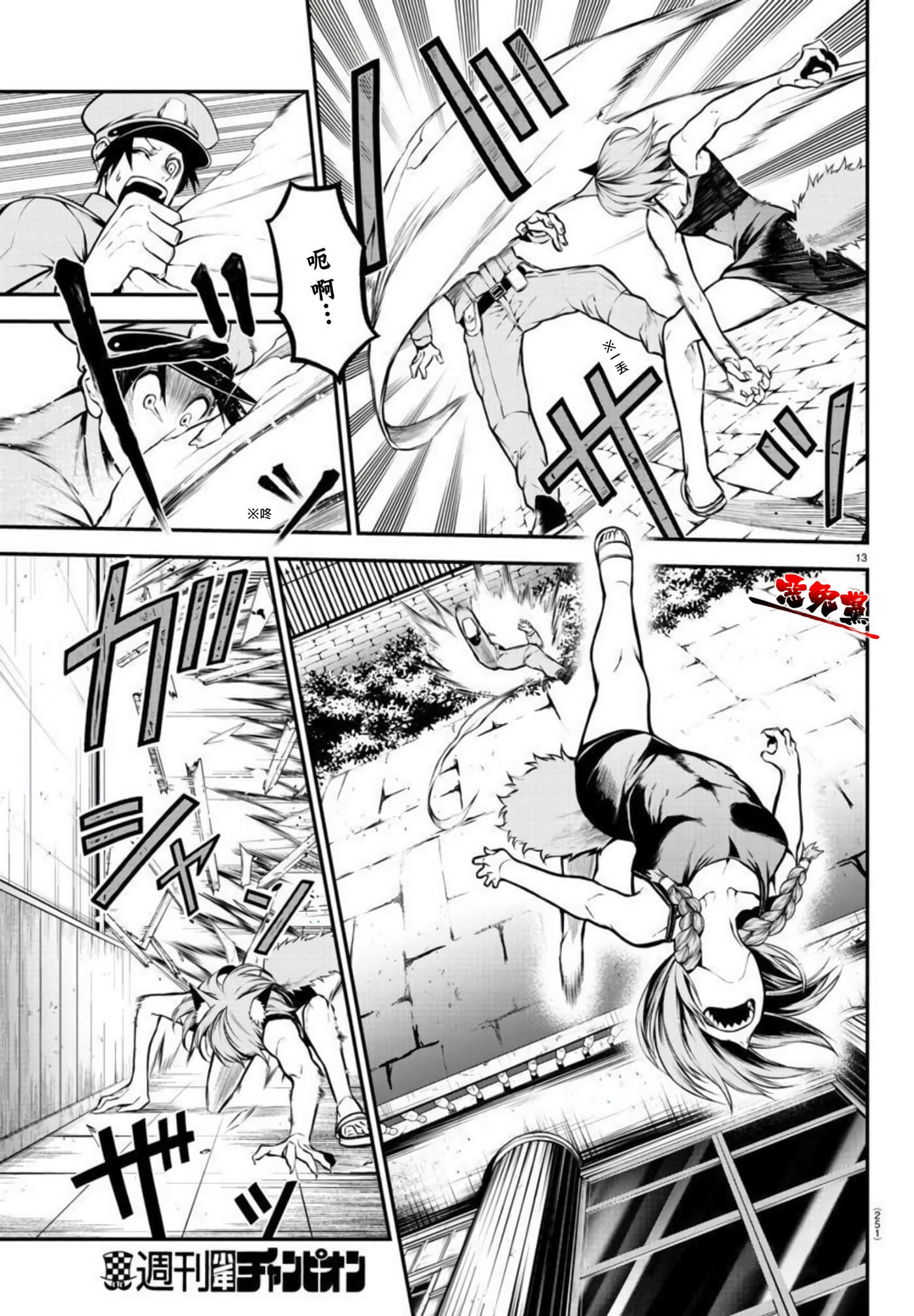 Page 13