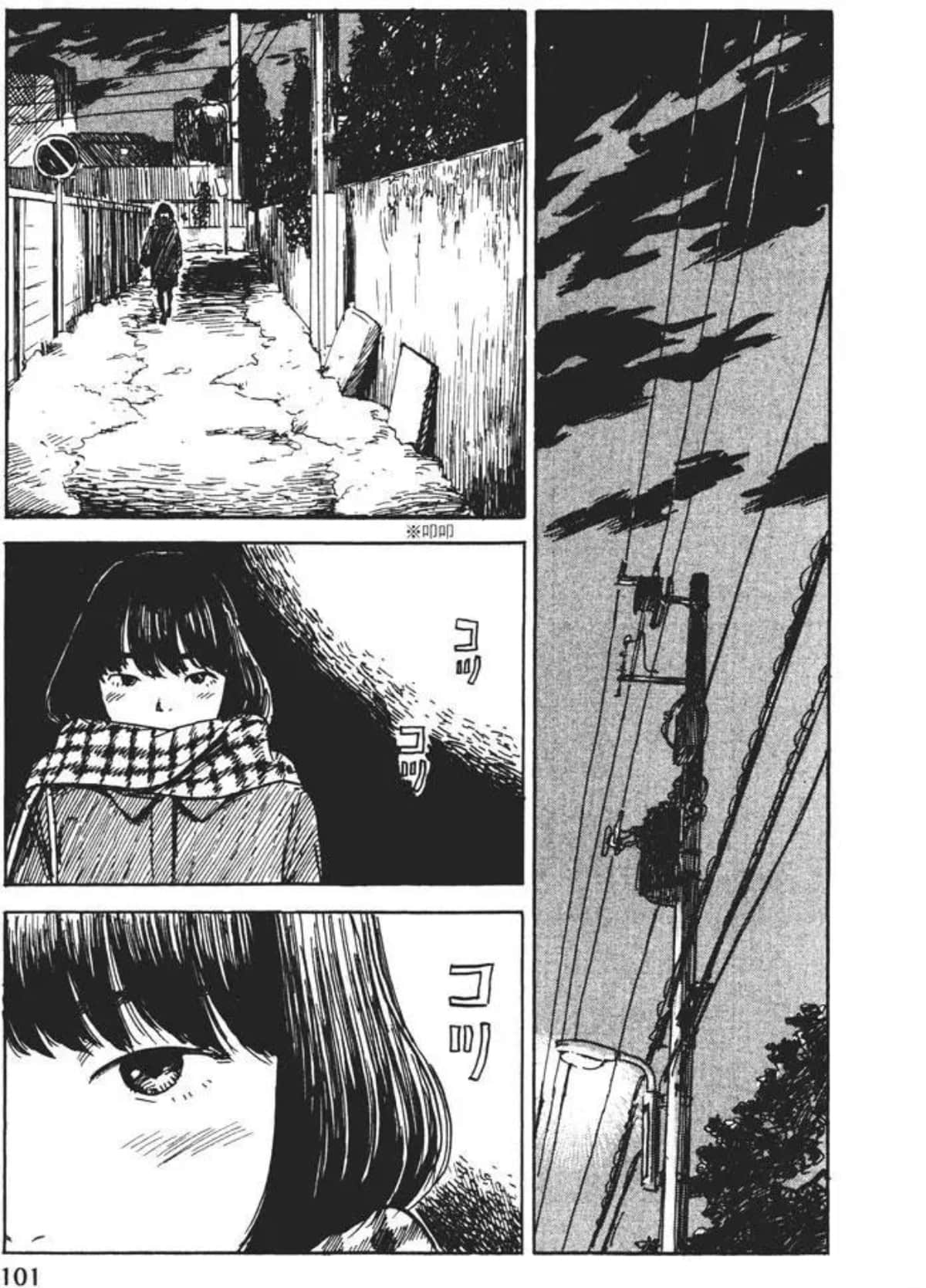 Page 101