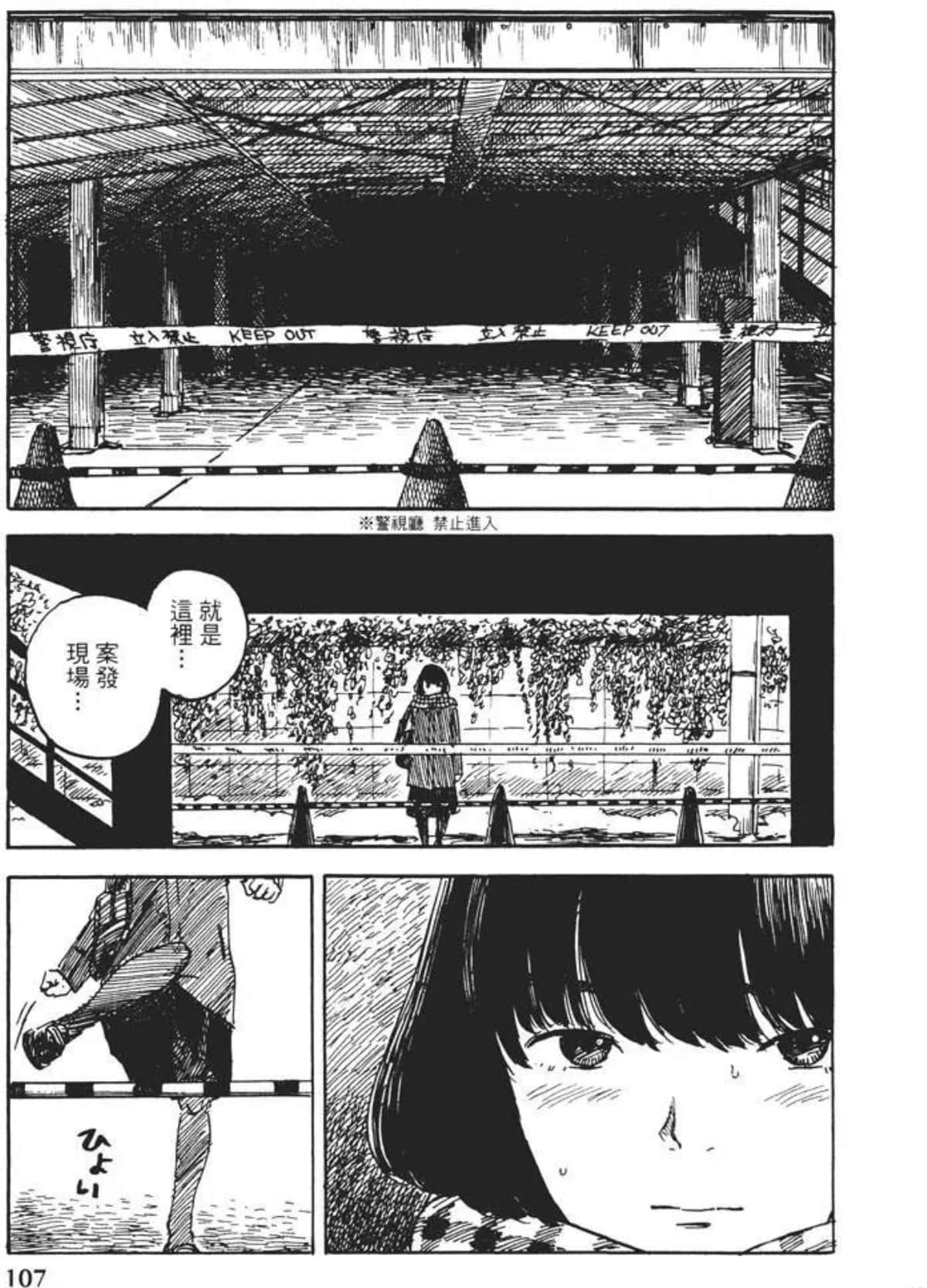 Page 107
