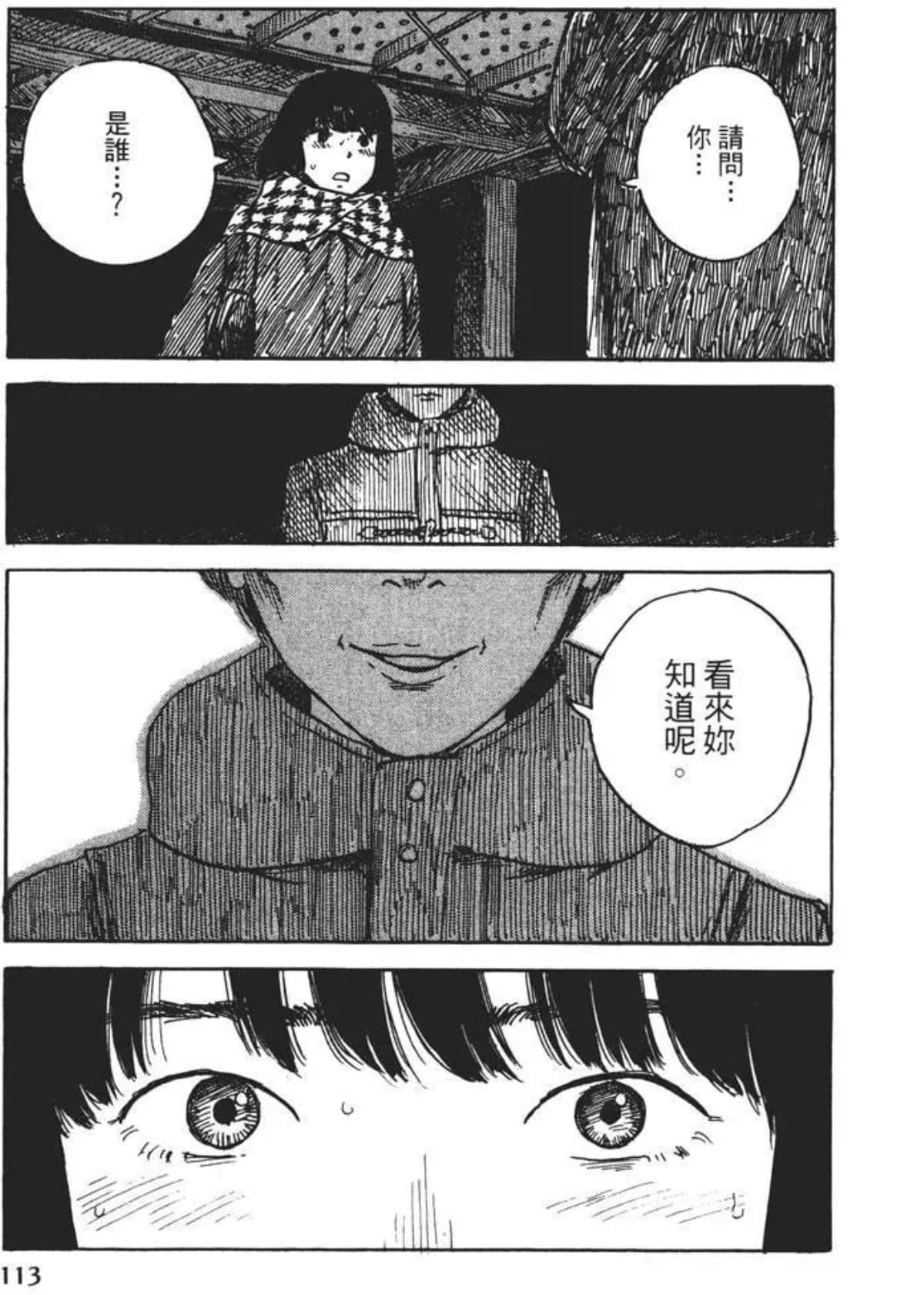 Page 113