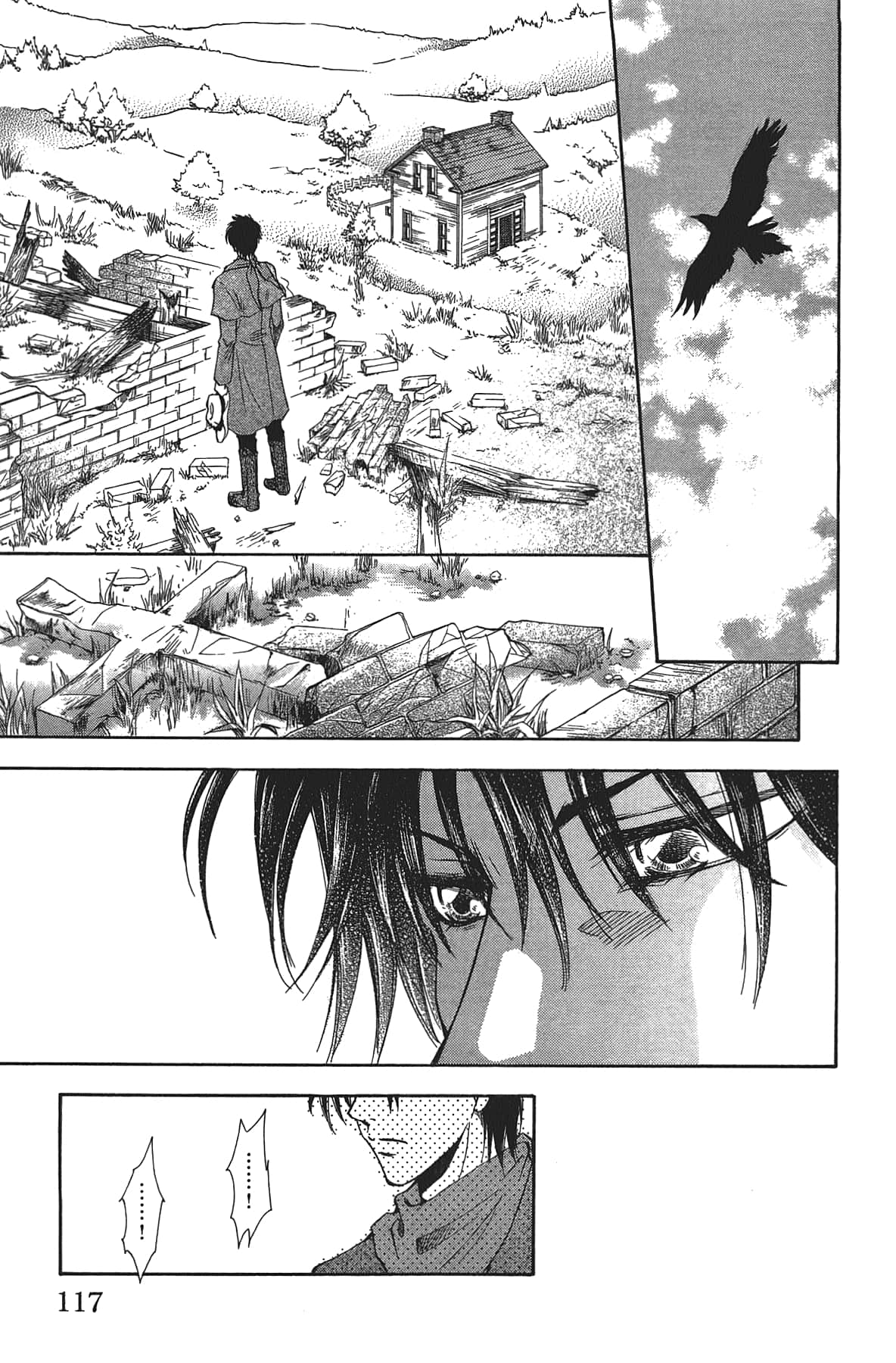 Page 117