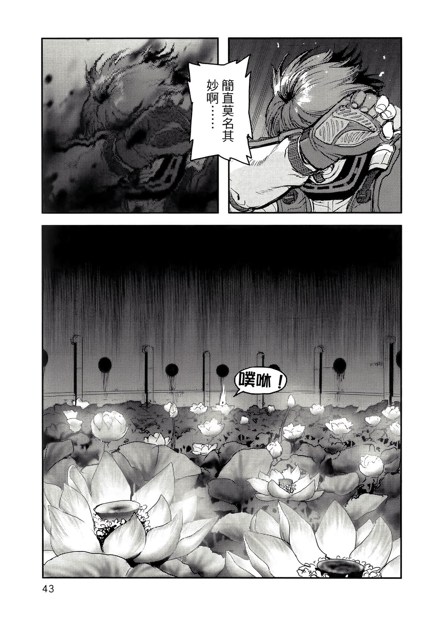 第 47 页