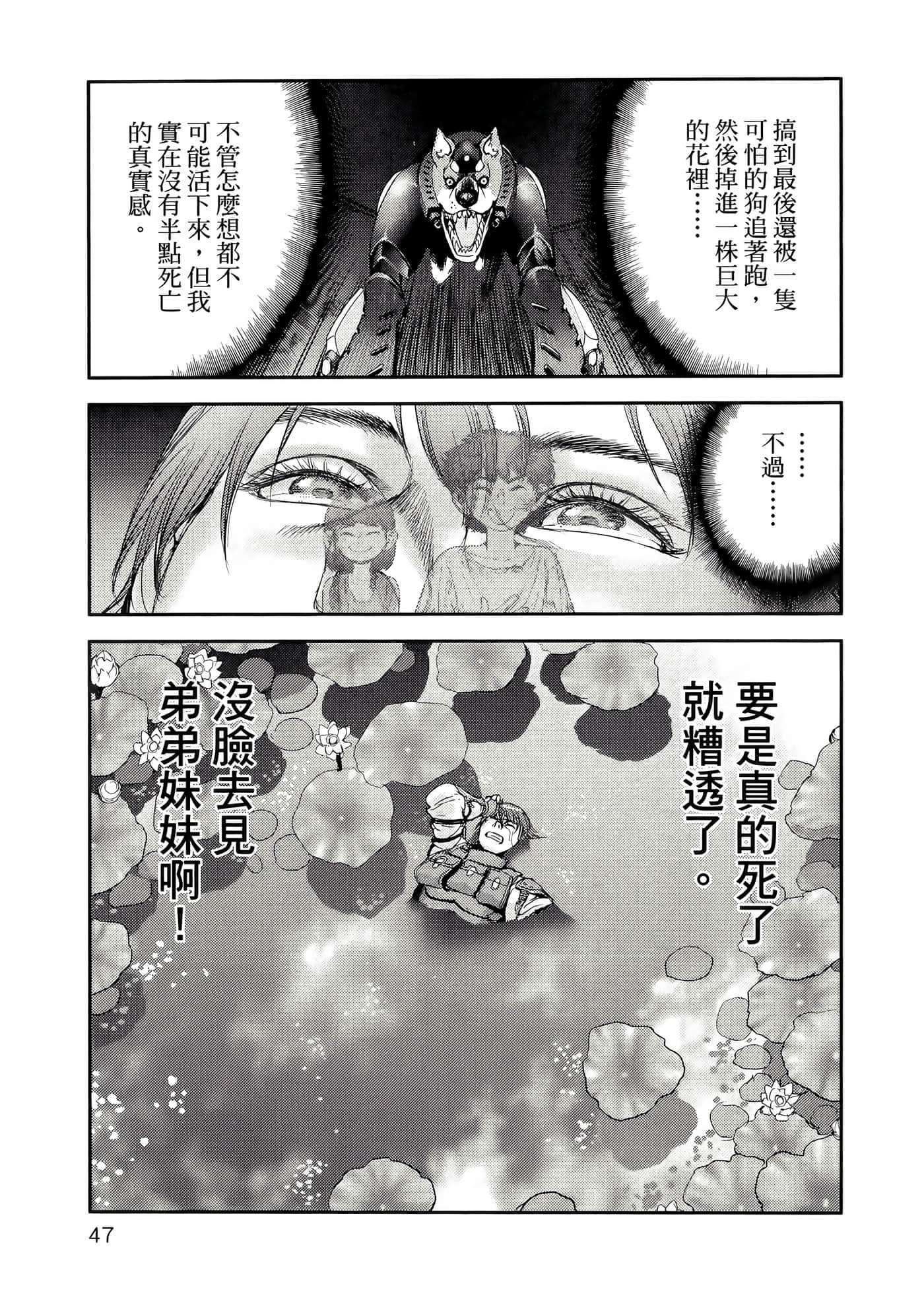 第 51 页