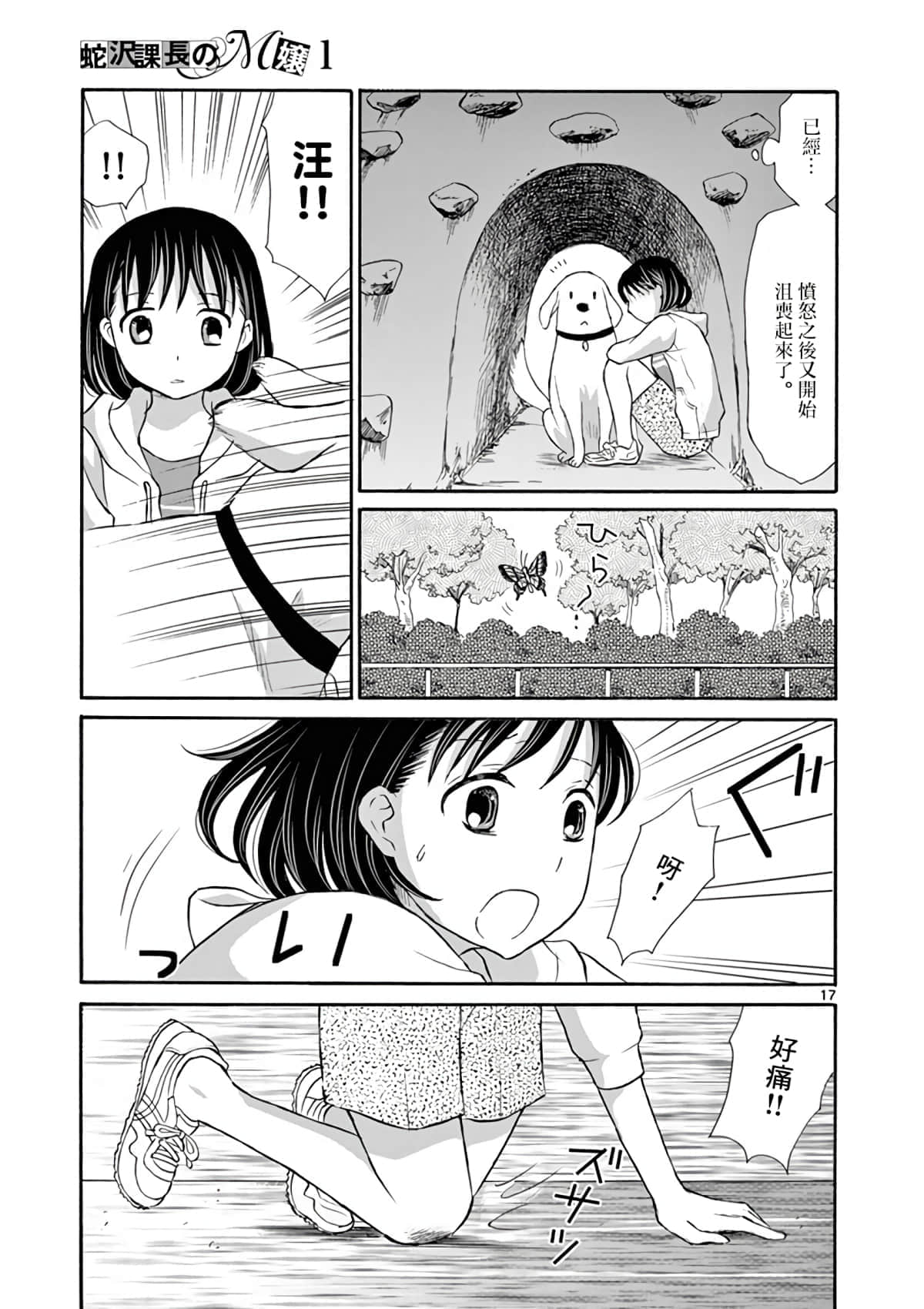 Page 17