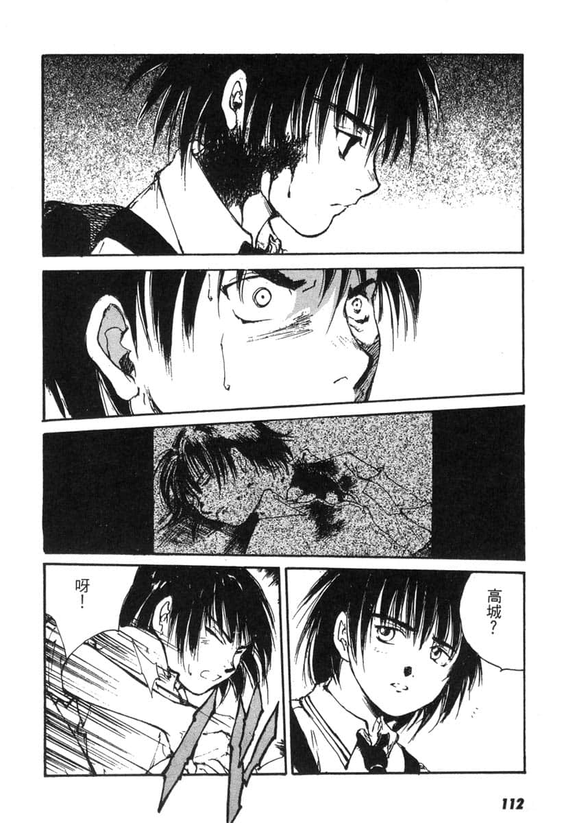 Page 111
