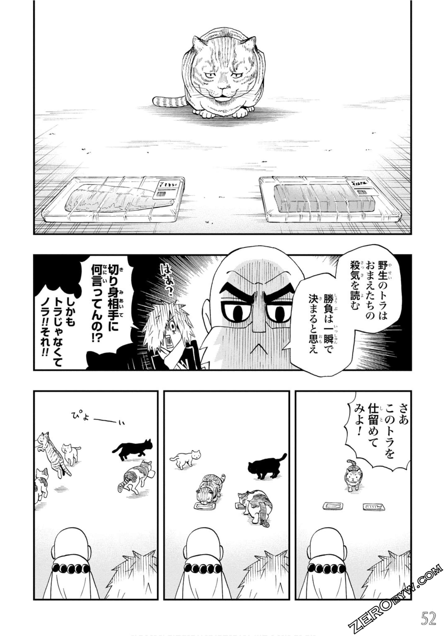 Page 53