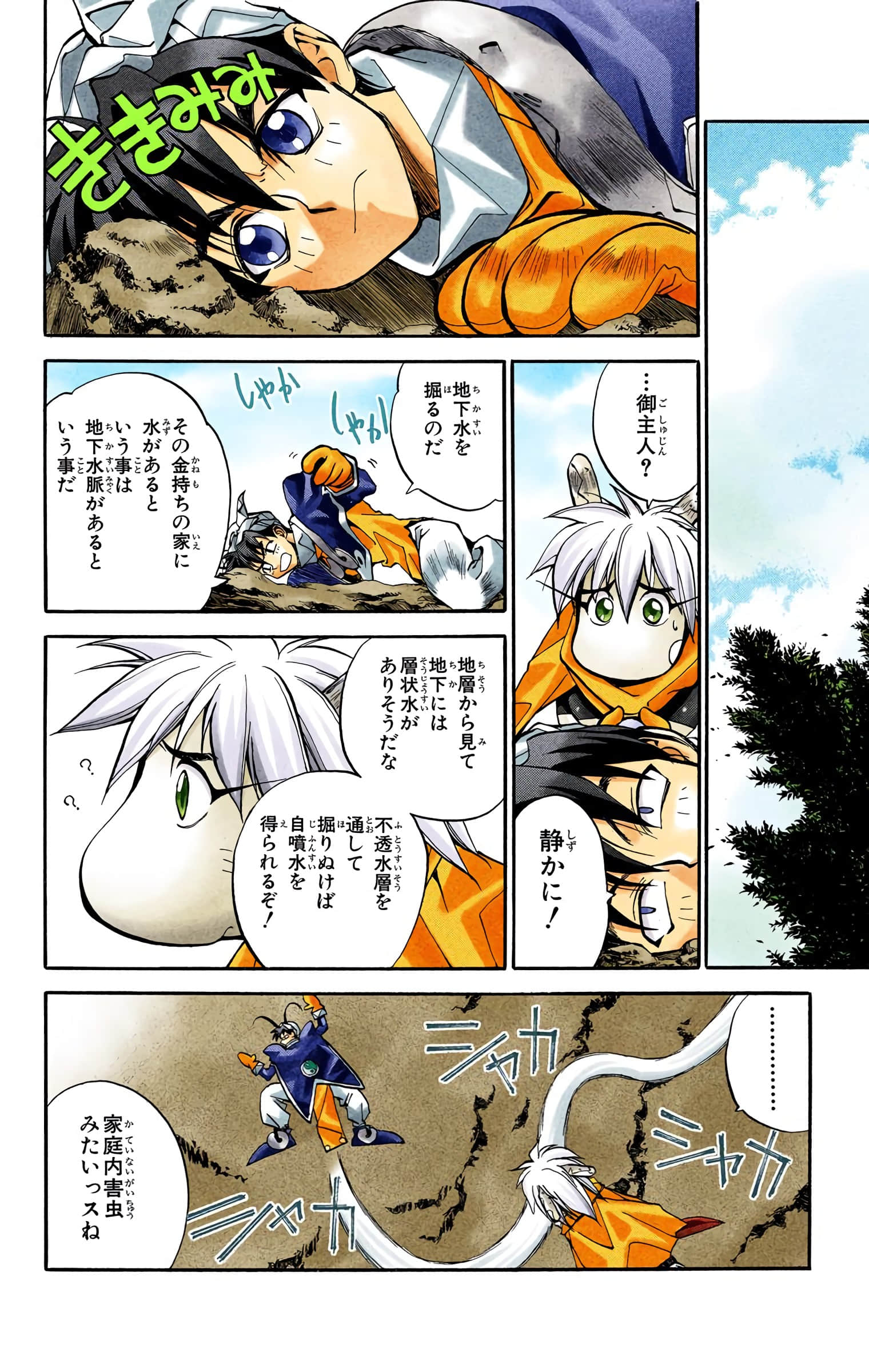 Page 11