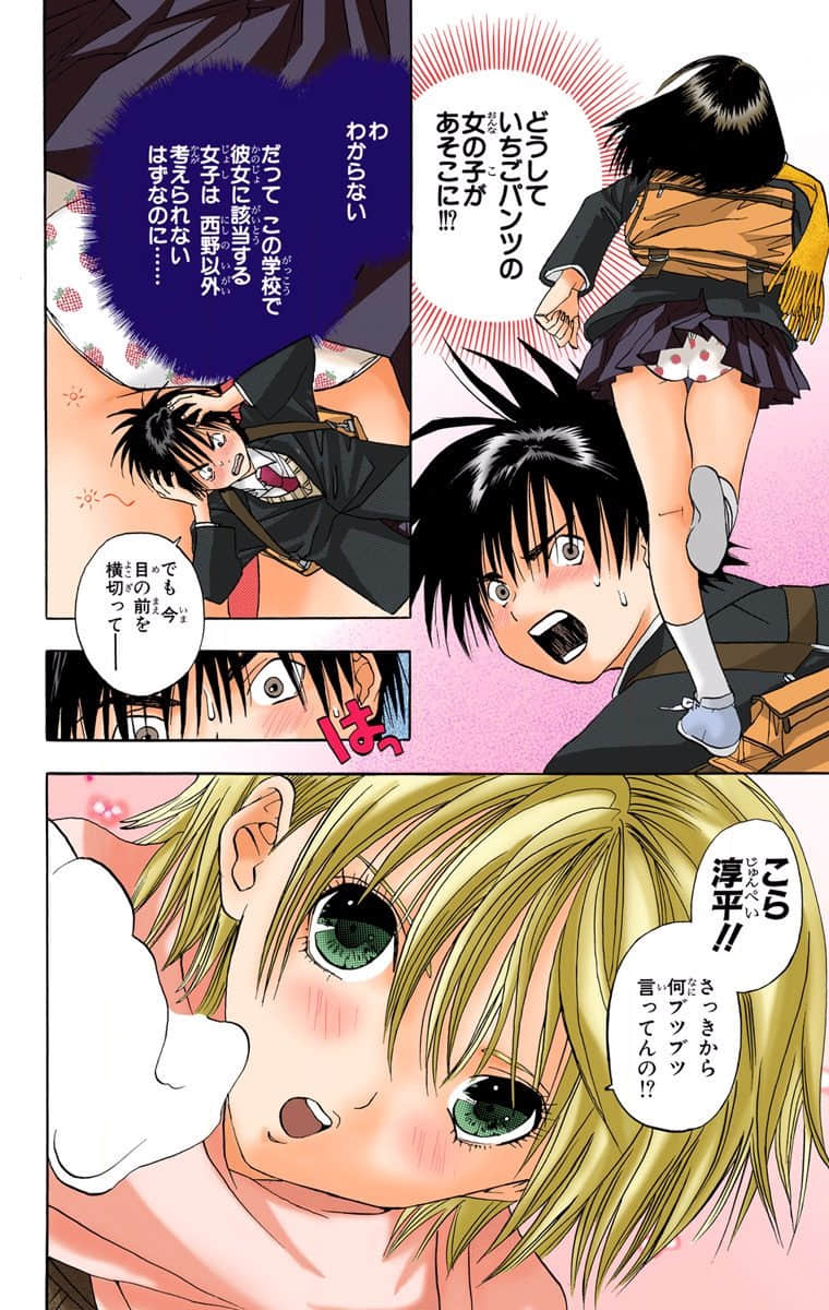Page 55