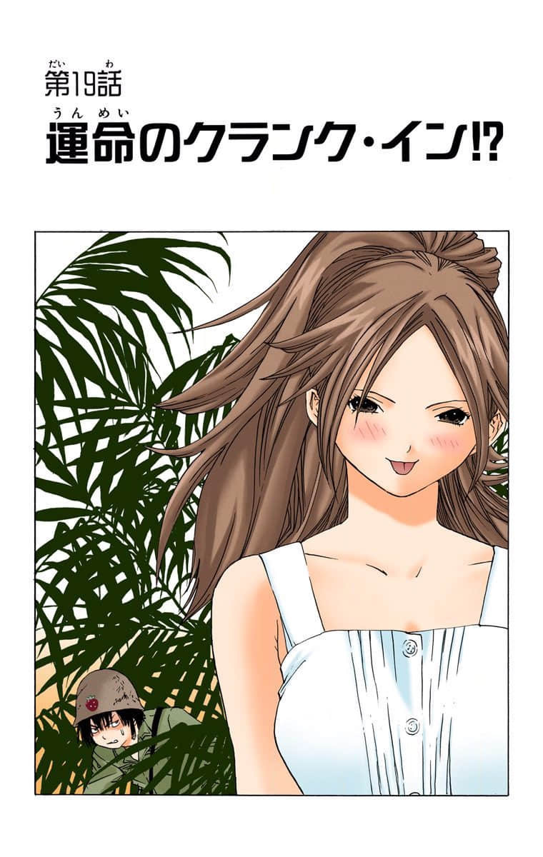 第 26 页