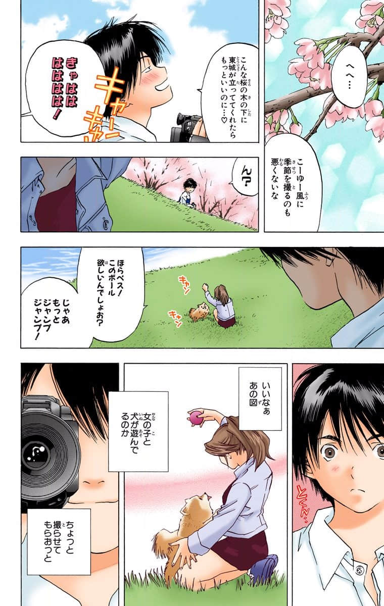 第 31 页