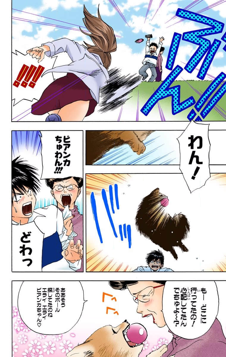 第 33 页