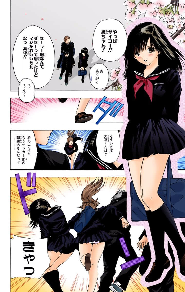 第 43 页
