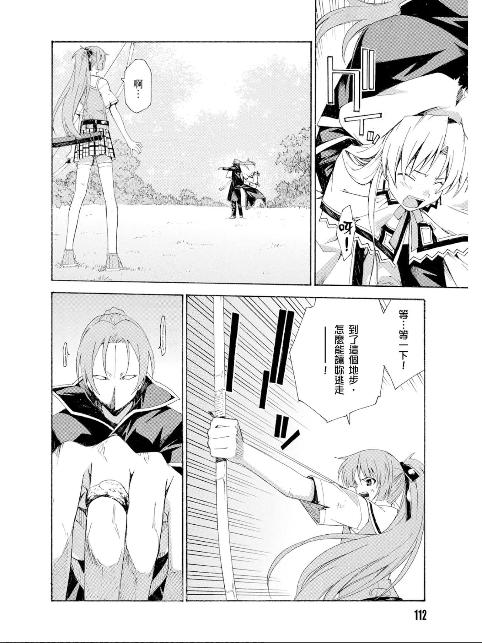 Page 113